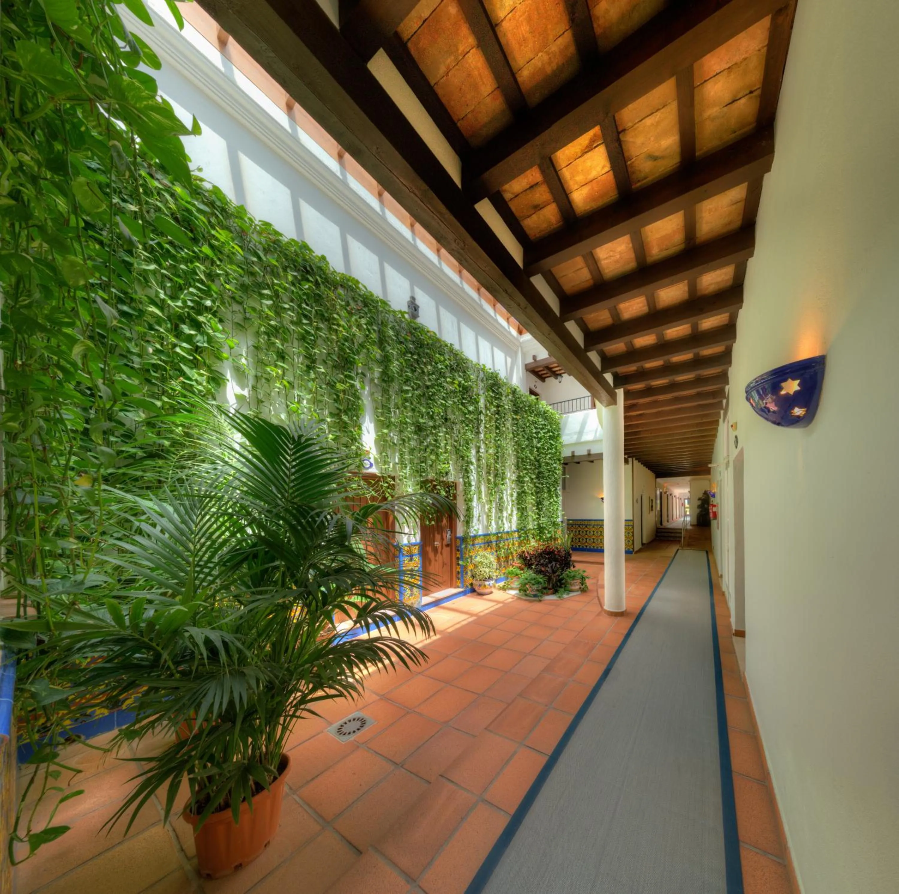 Patio in Hotel Porfirio