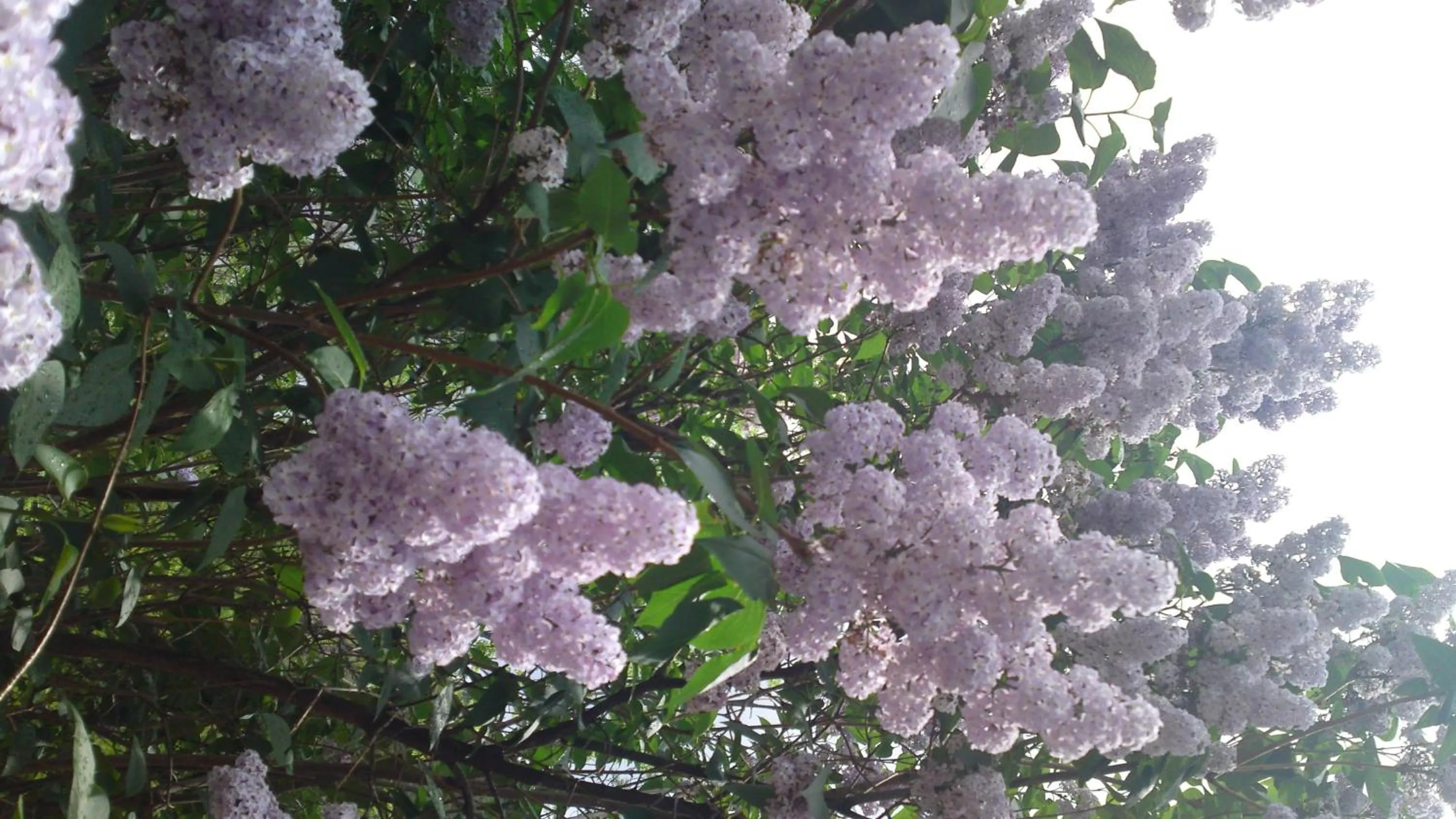 Other, Bird's-eye View in Hotel Peralba