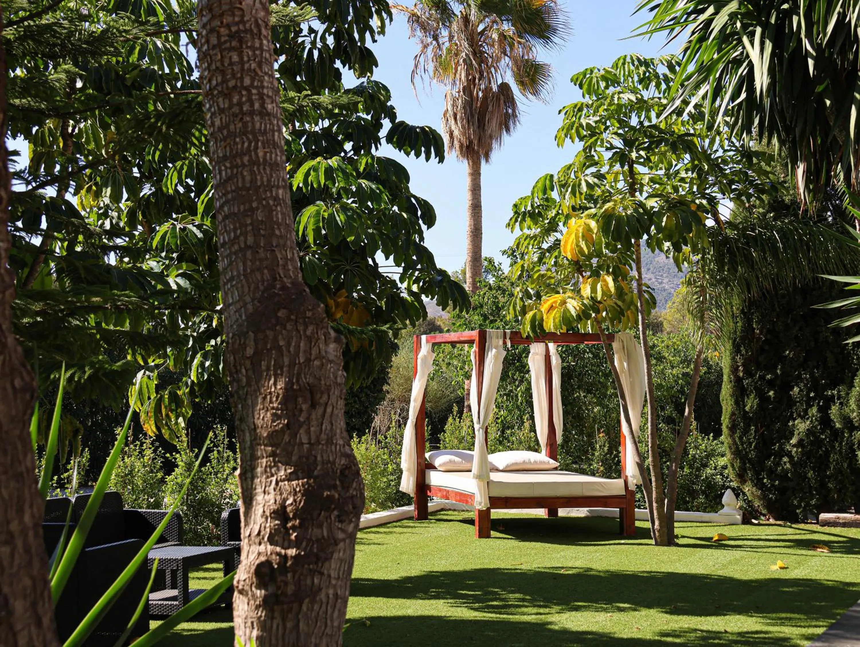 Garden in Events Hotel La Plantación