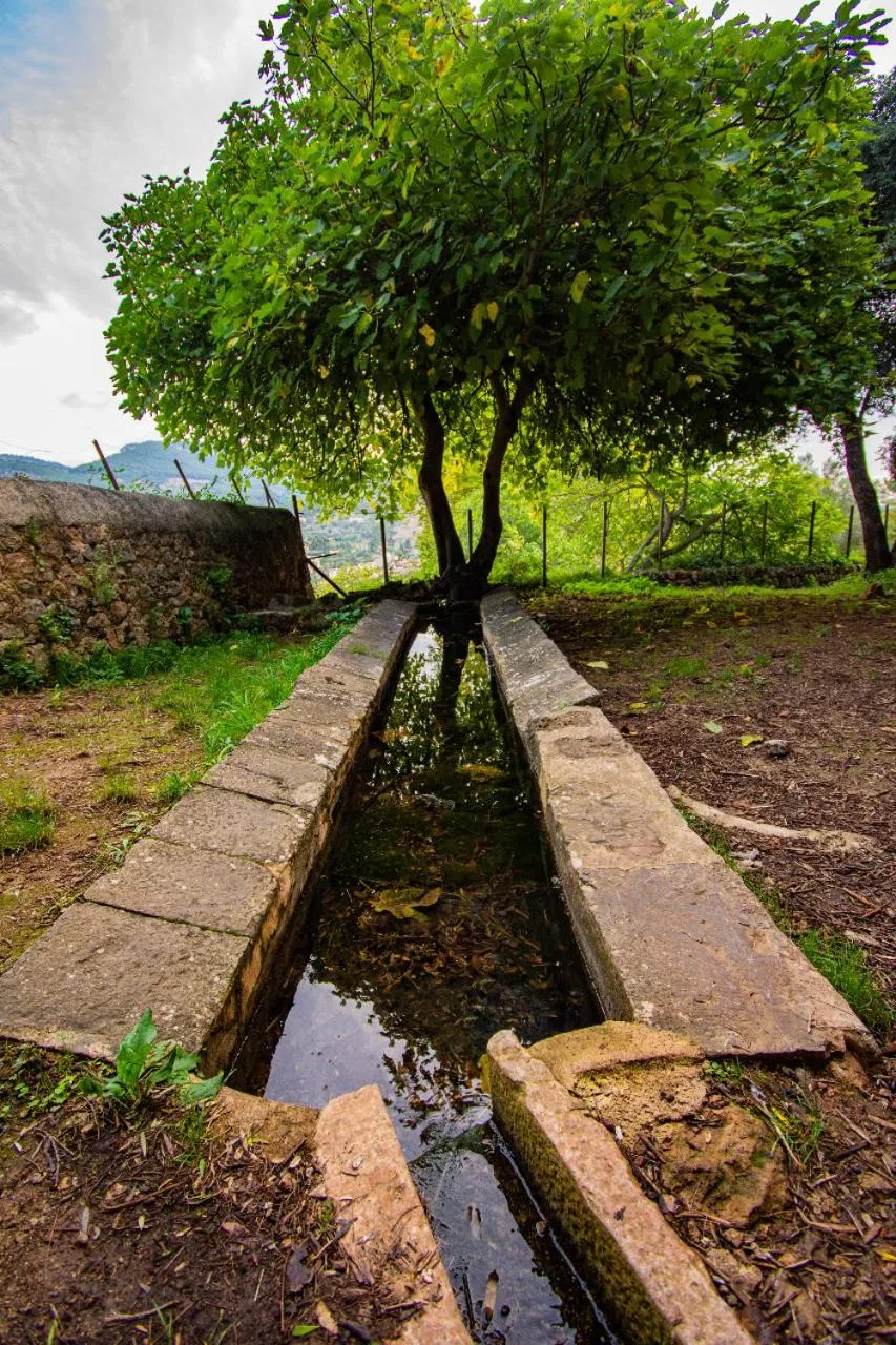 Natural landscape in S´Hostal d´Esporles