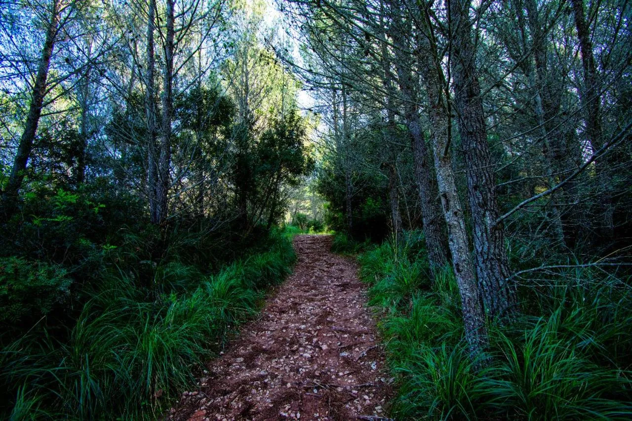 Natural landscape in S´Hostal d´Esporles