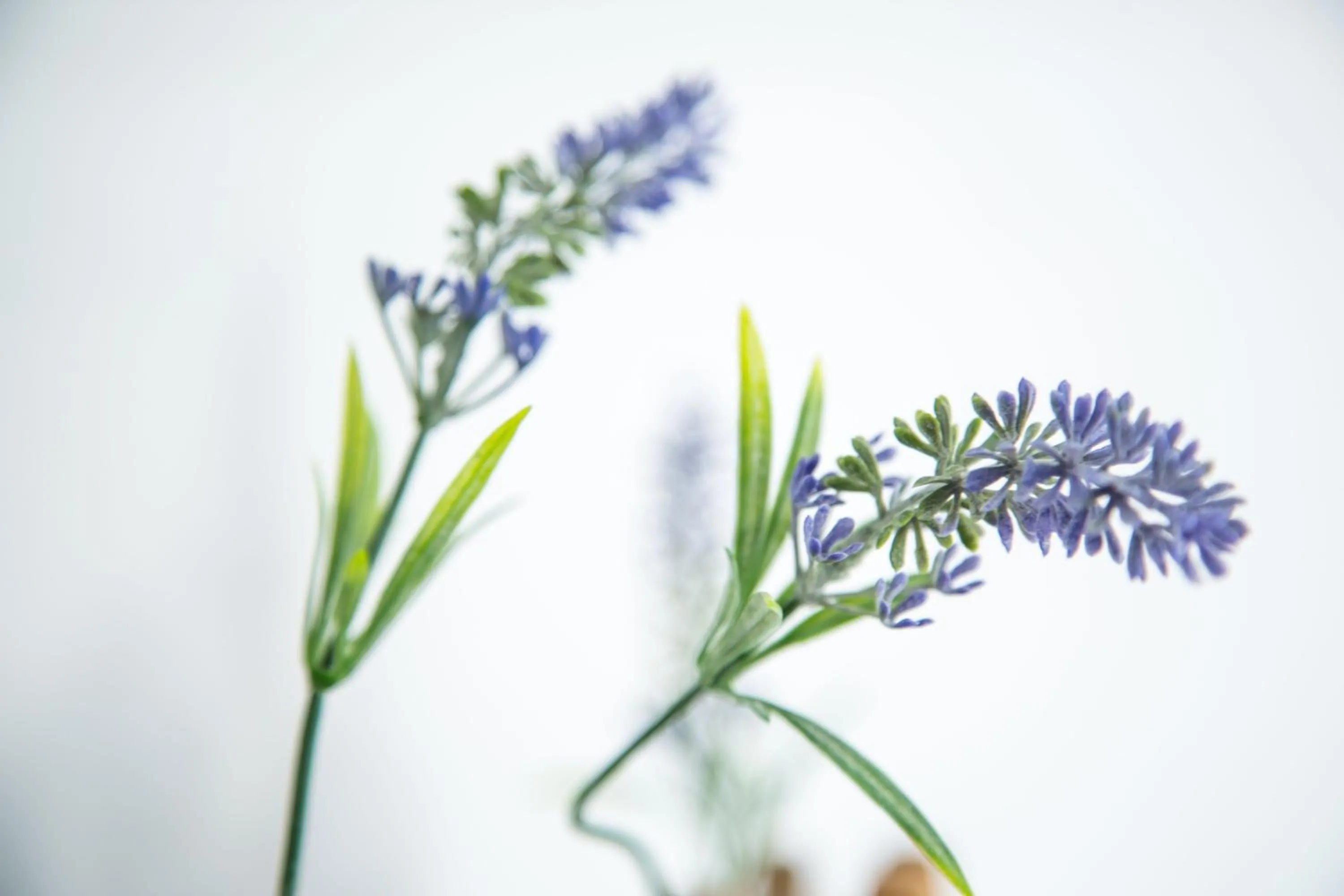 Spring in Villas S'Argamassa