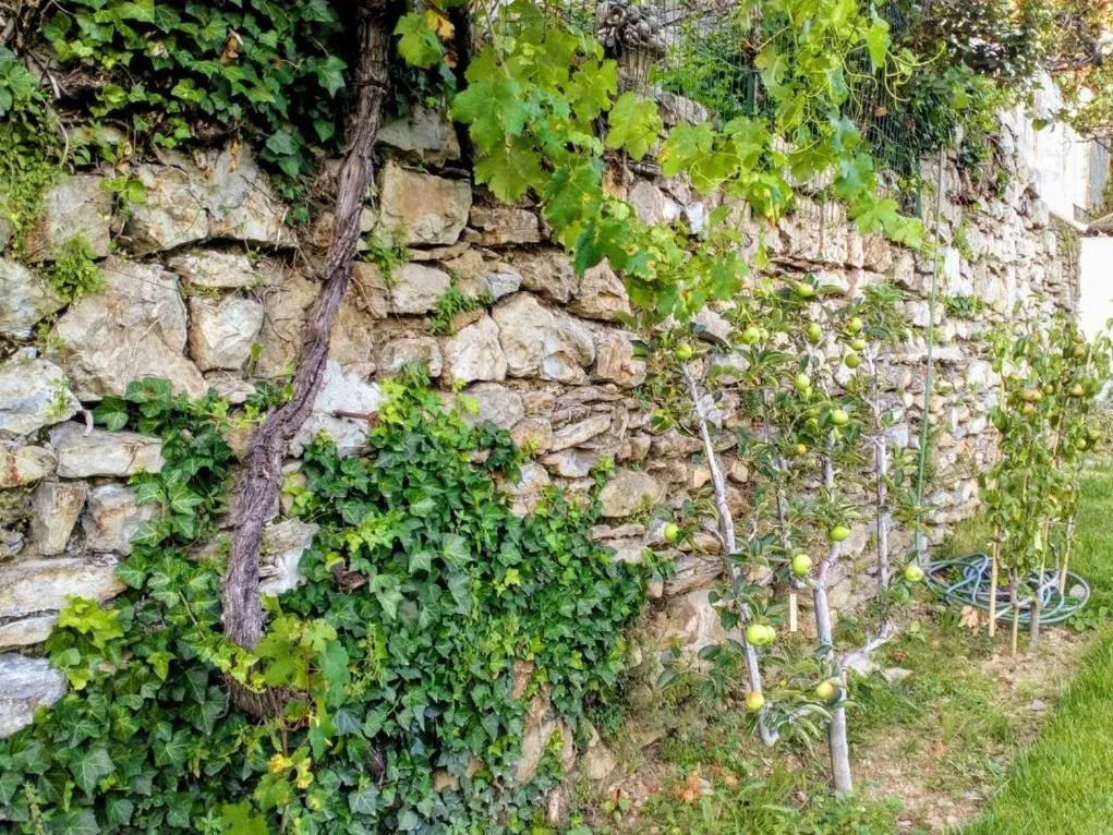 Property building in La Maison Jaffran, suite en ville