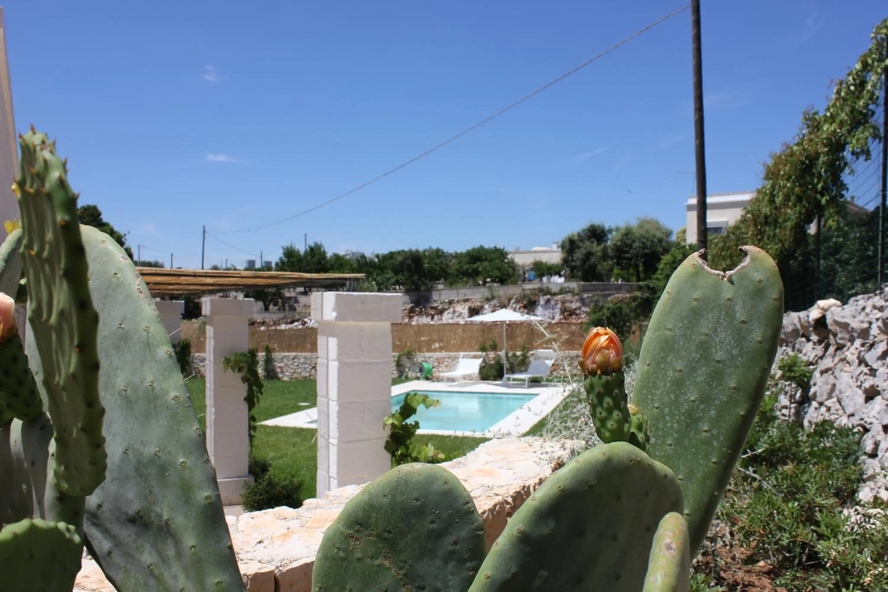 Swimming pool in Casale Ramunno