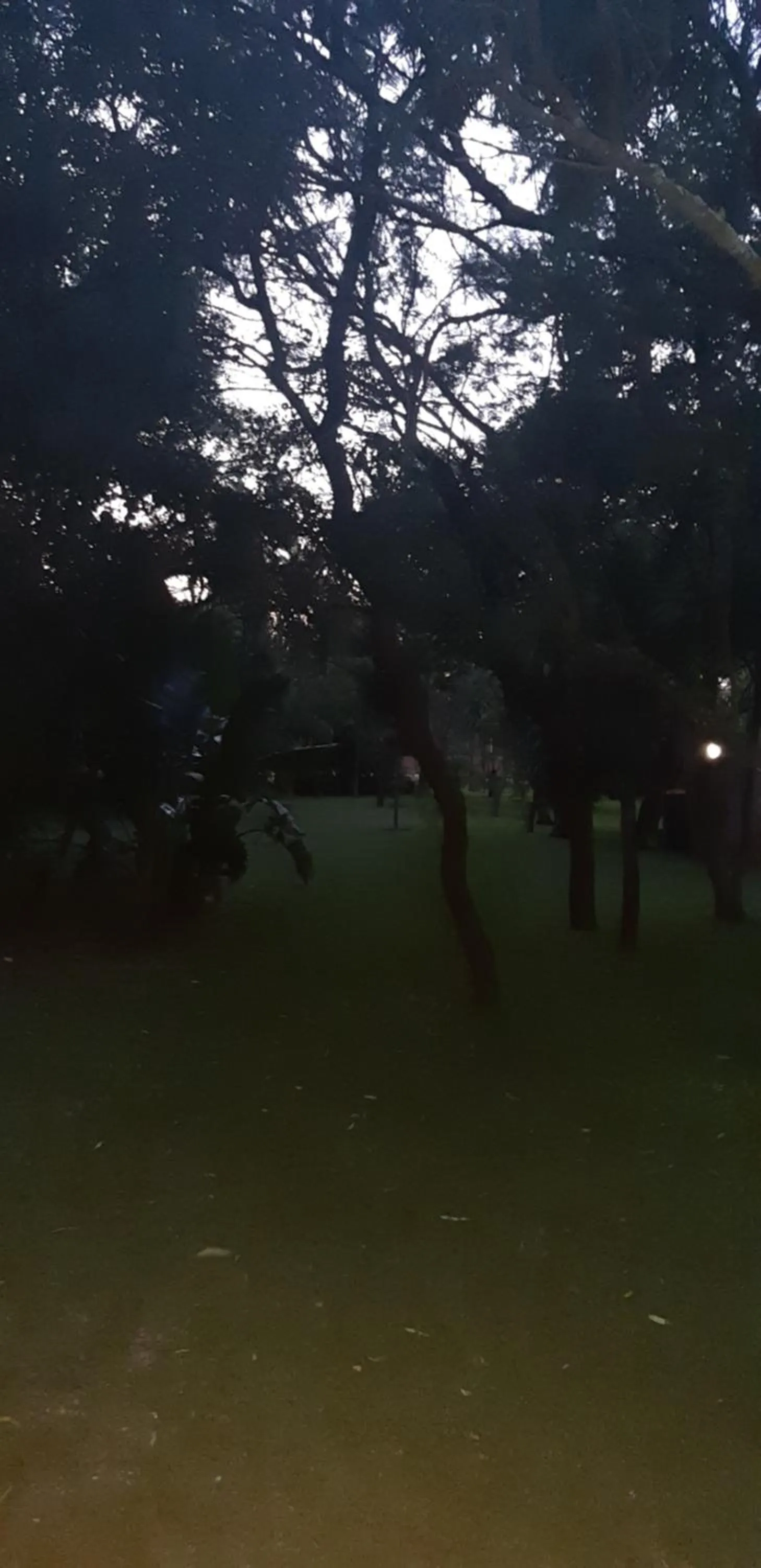 Suikerbosrant Sleep and go