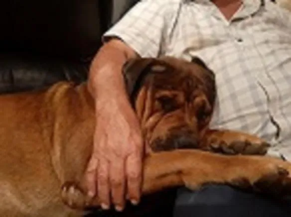 Suikerbosrant Sleep and go