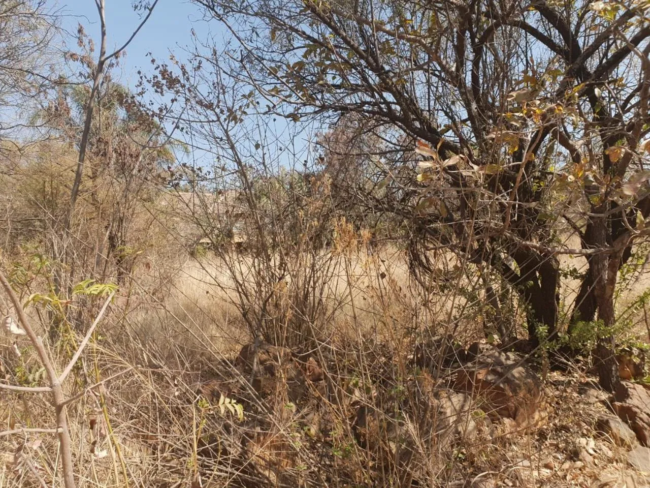 Suikerbosrant Sleep and go