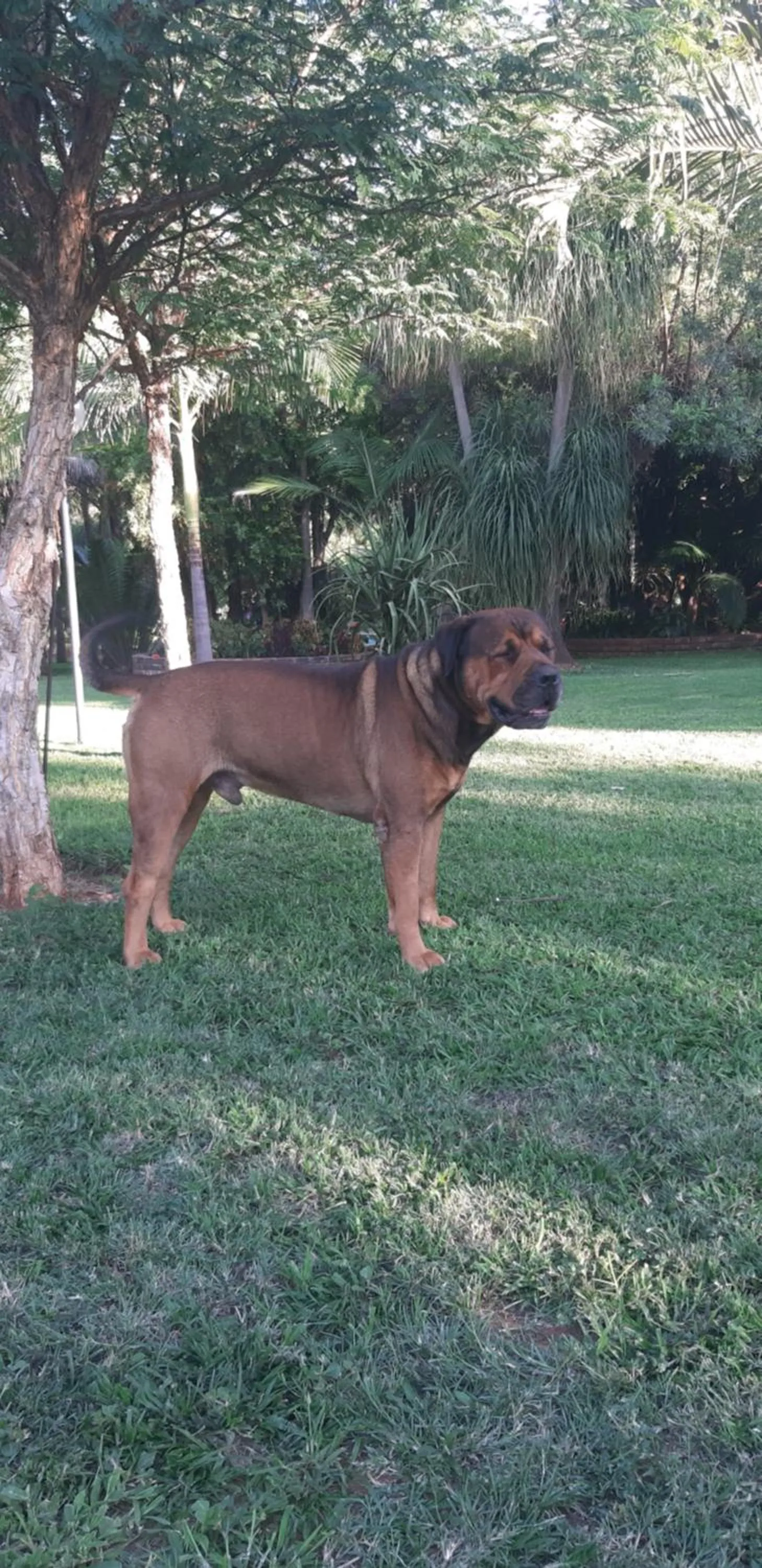 Suikerbosrant Sleep and go