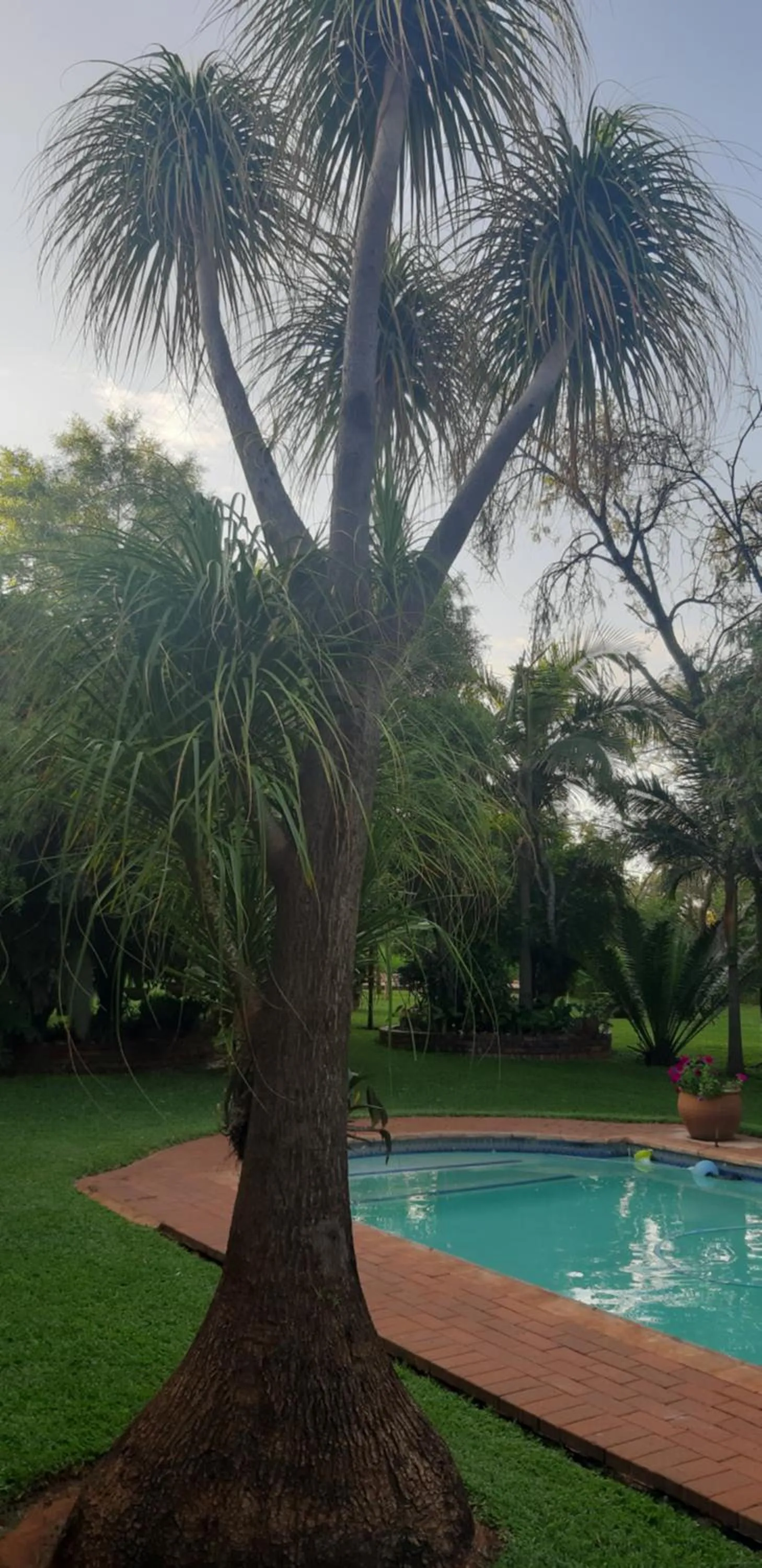 Suikerbosrant Sleep and go