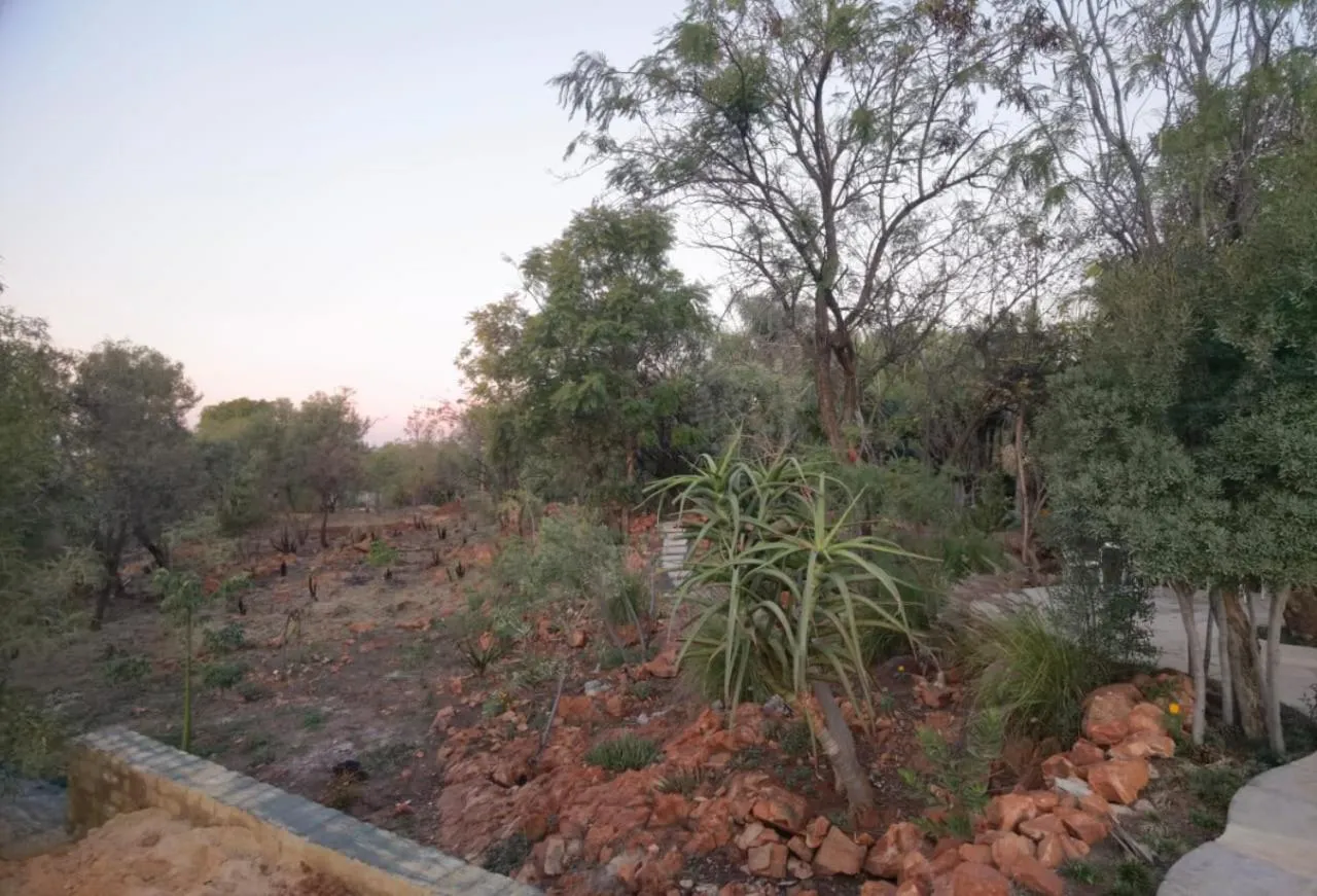 Suikerbosrant Sleep and go