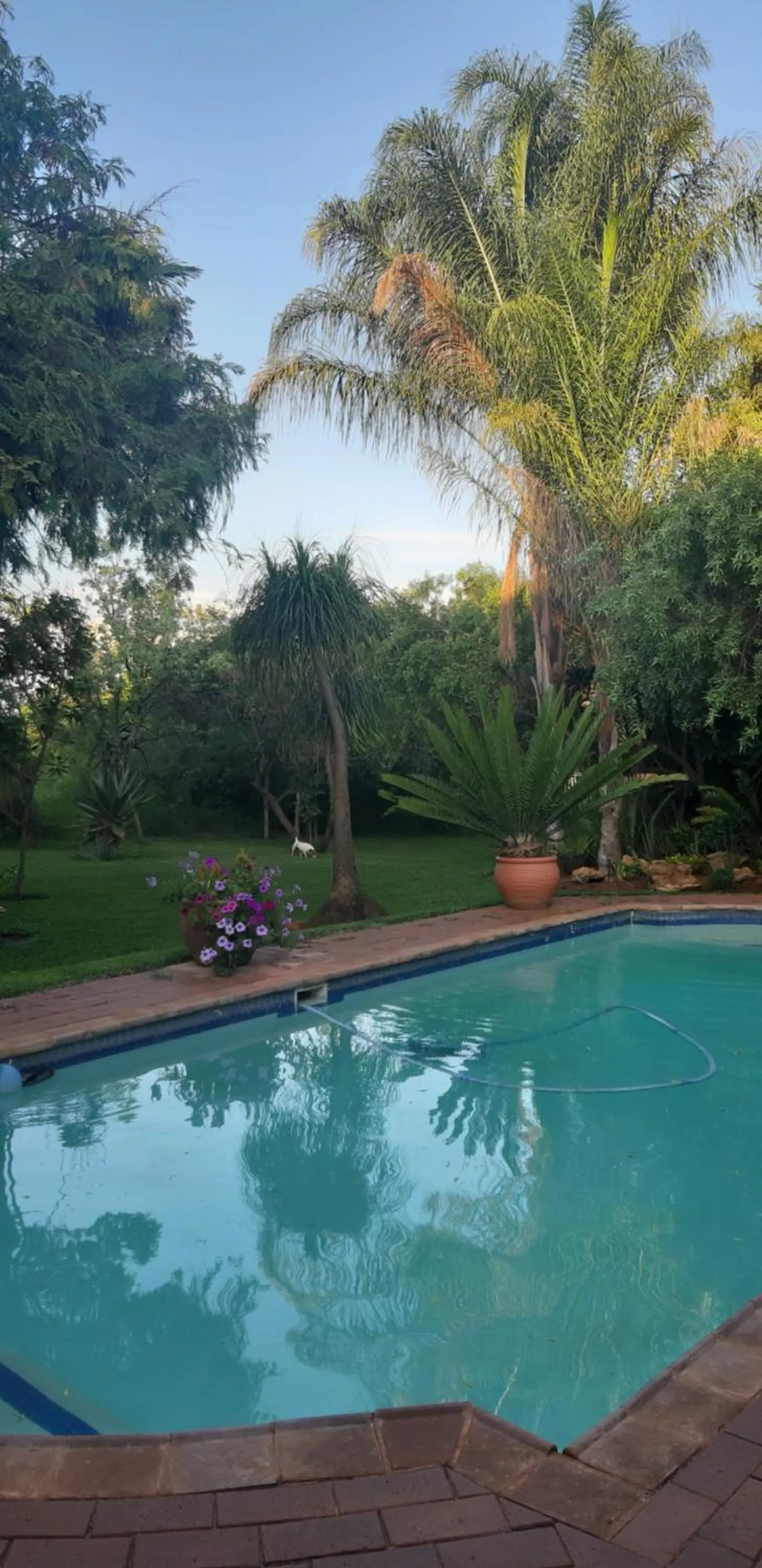 Swimming pool in Suikerbosrant Sleep and go