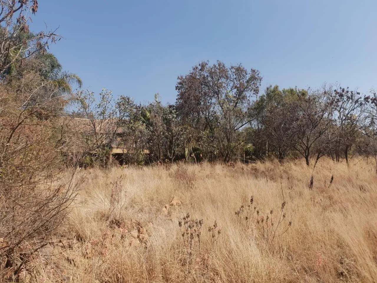 Suikerbosrant Sleep and go