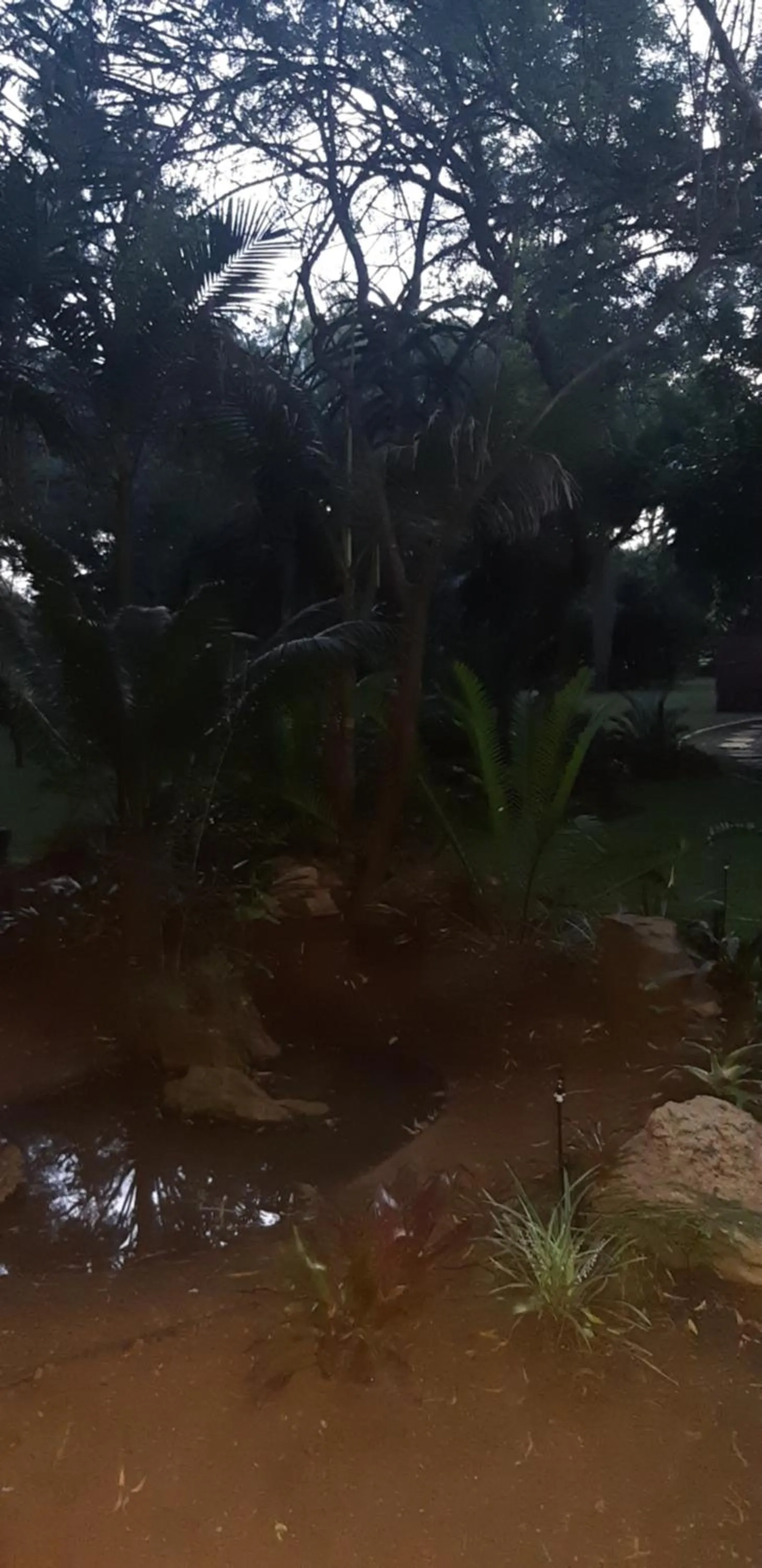 Suikerbosrant Sleep and go