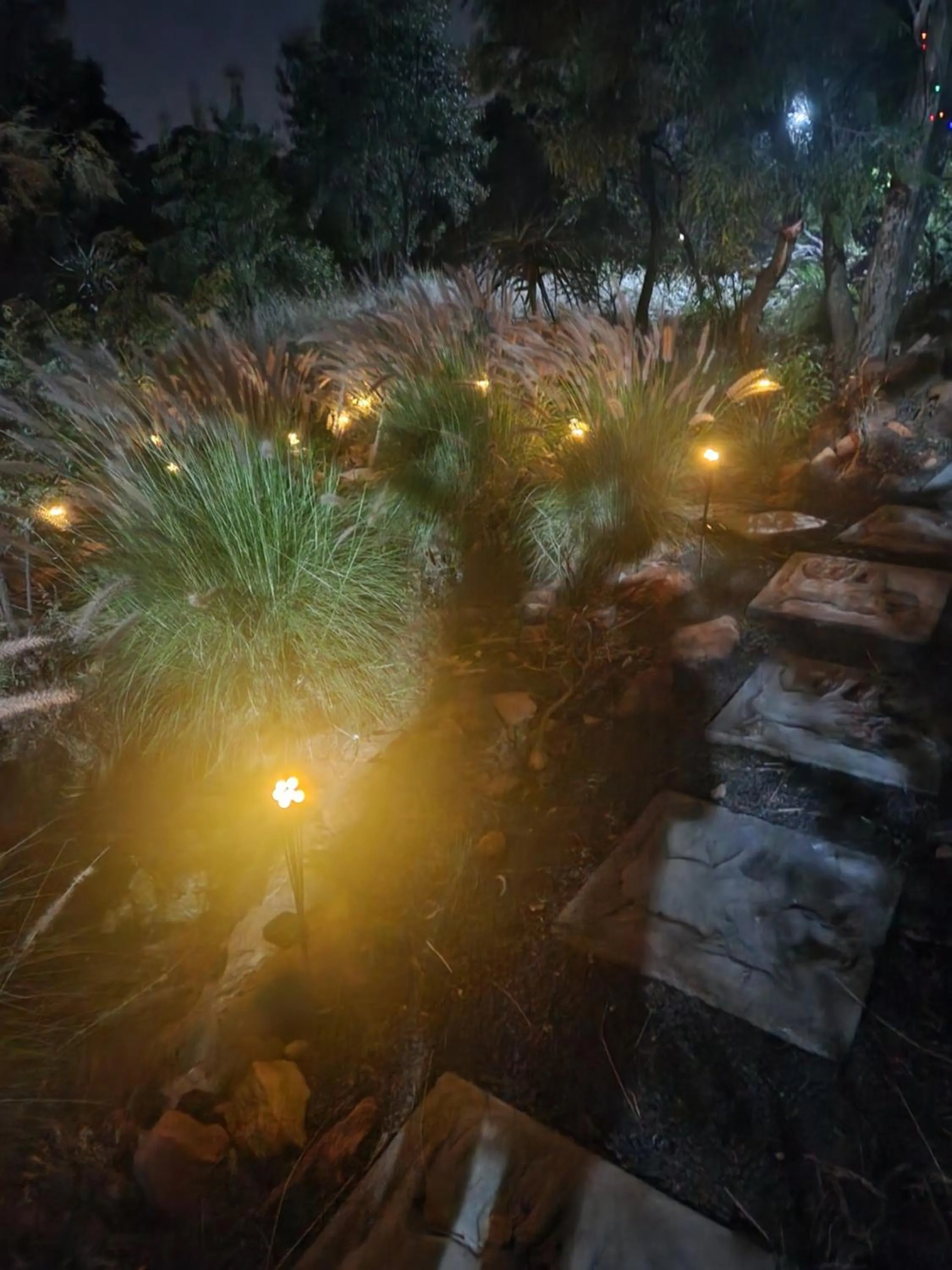 Suikerbosrant Sleep and go