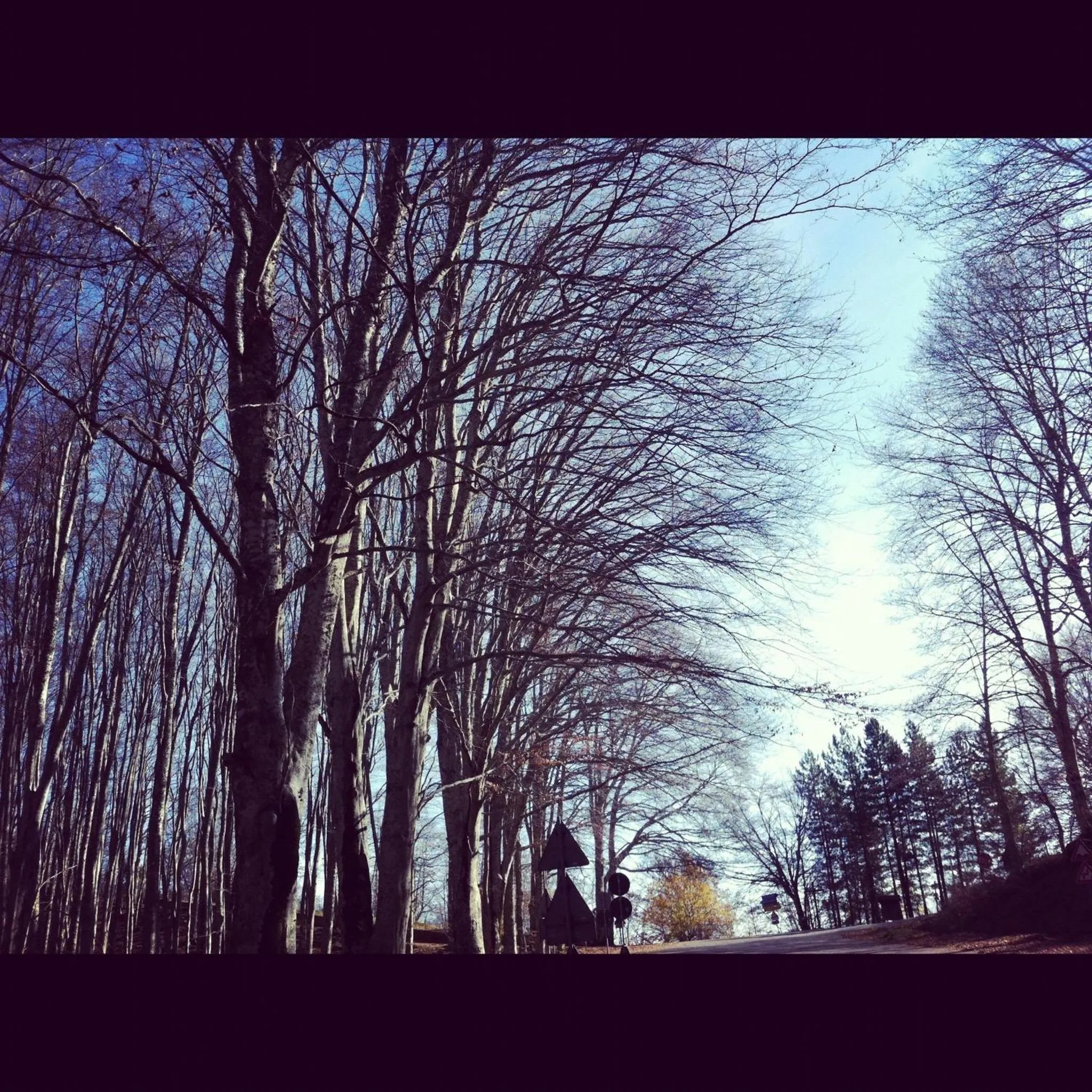 Winter in Da Ronald ... A Pian Del Papa