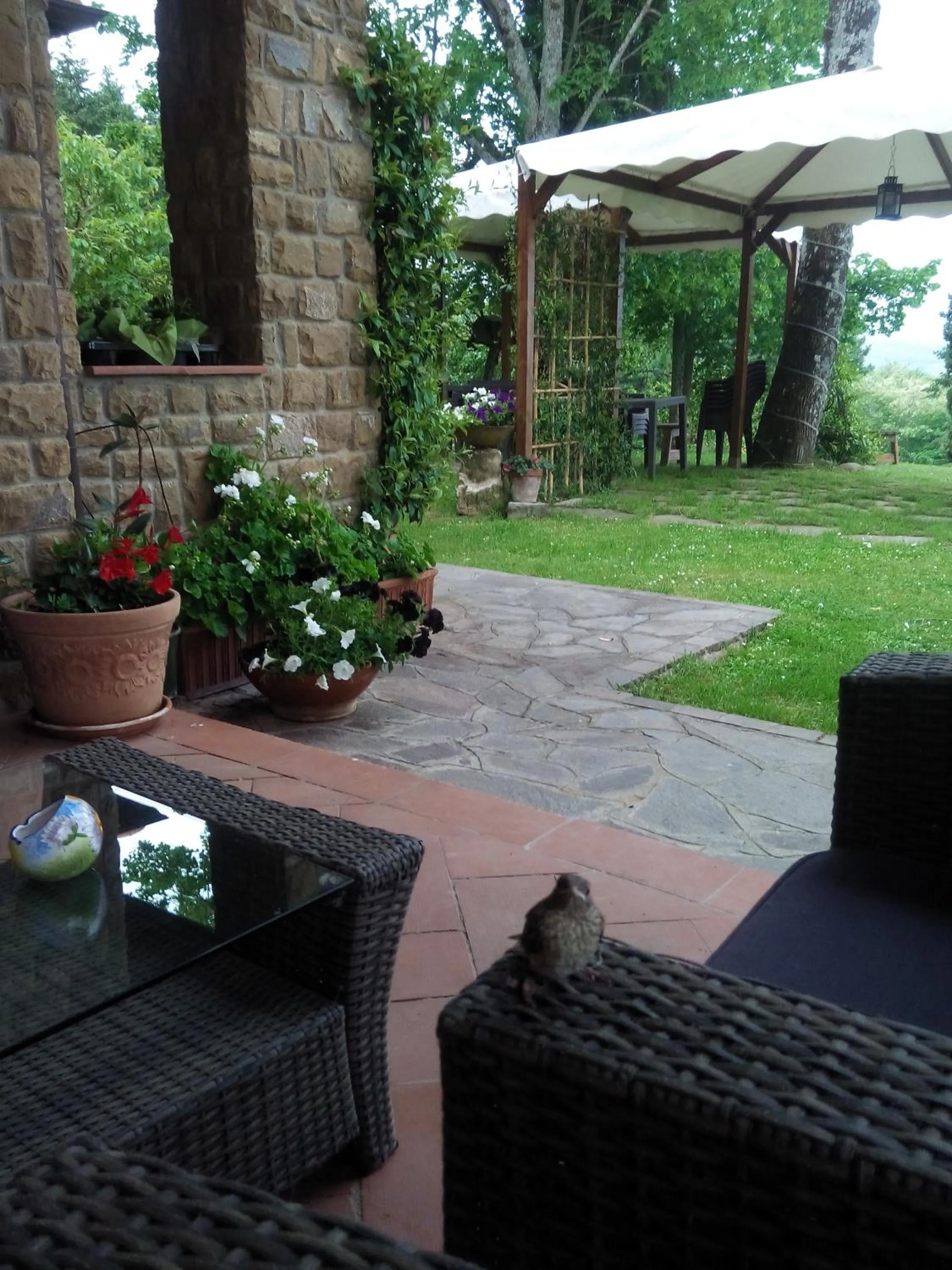 Decorative detail in Da Ronald ... A Pian Del Papa