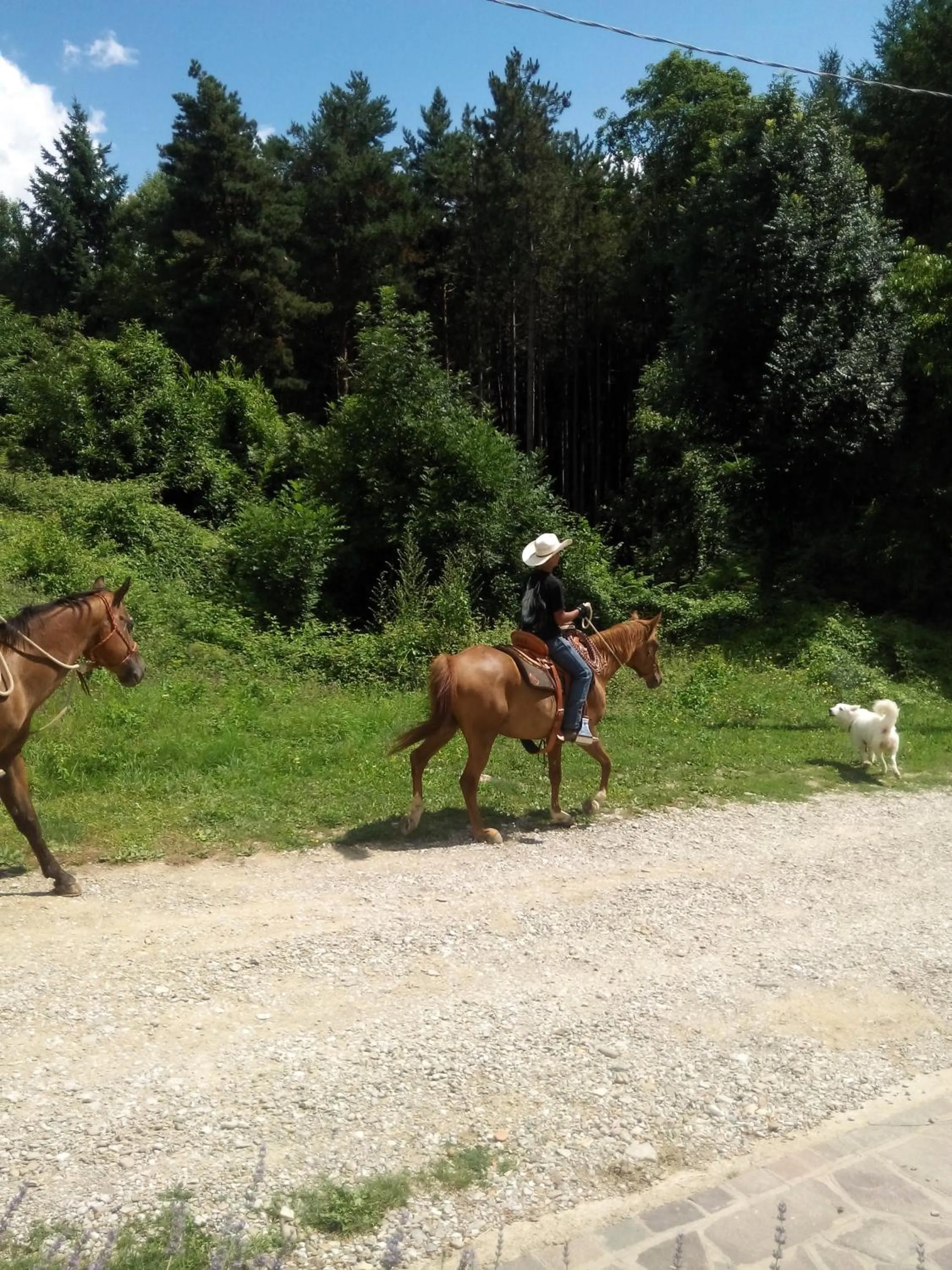 Horse-riding in Da Ronald ... A Pian Del Papa