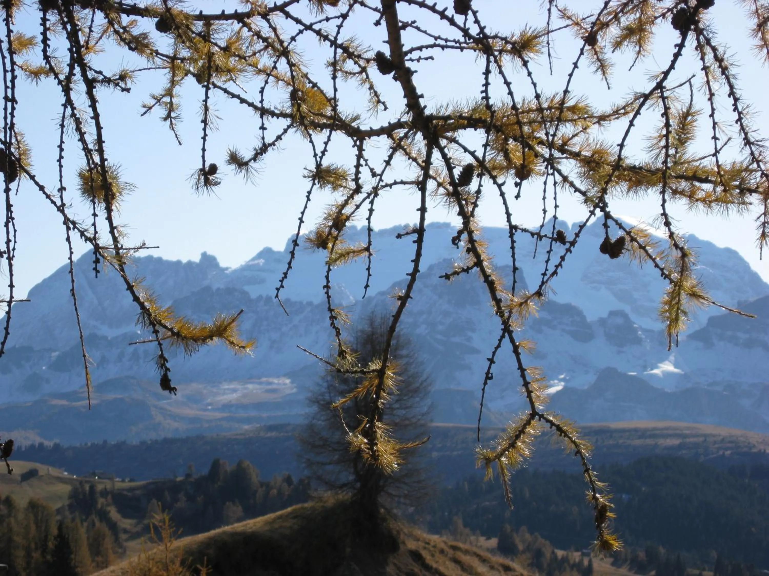 Residence Costa Burjada