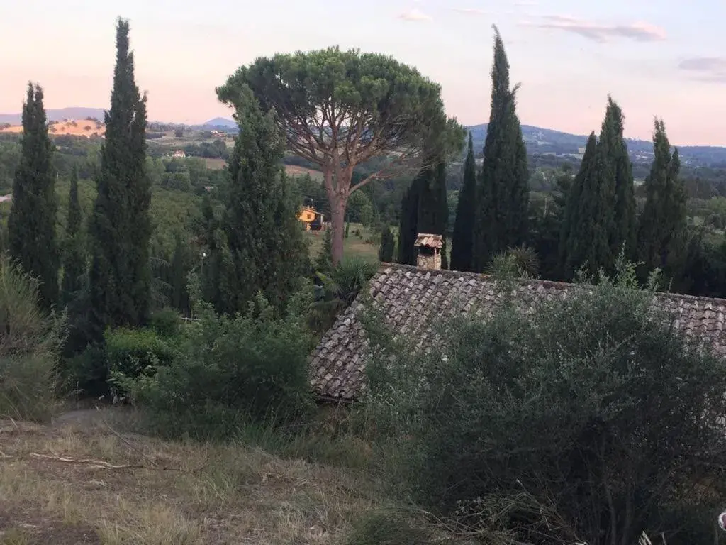 Casale Sant'Elia Casale Sant'Elia