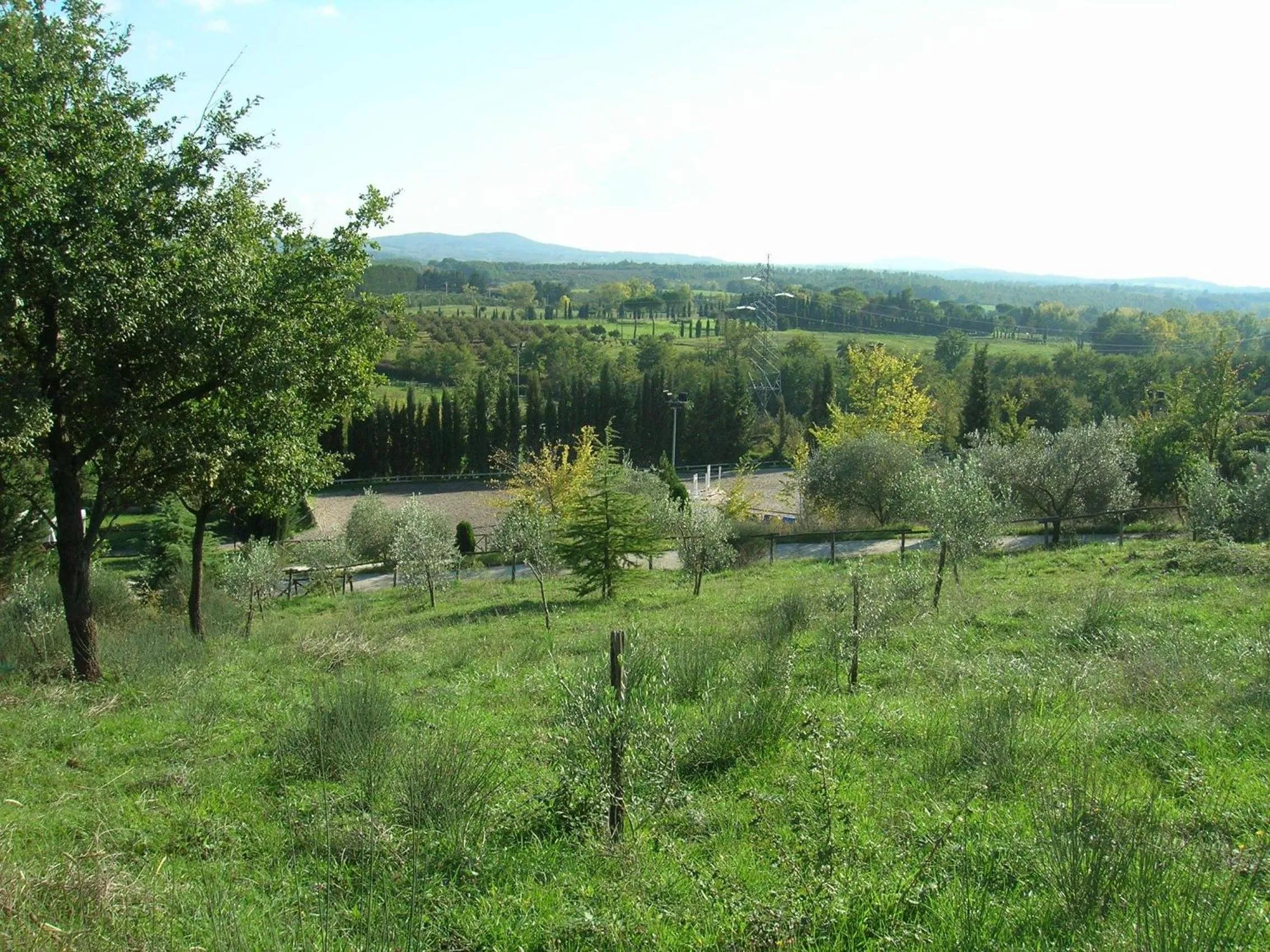 Landmark view in Casale Sant'Elia