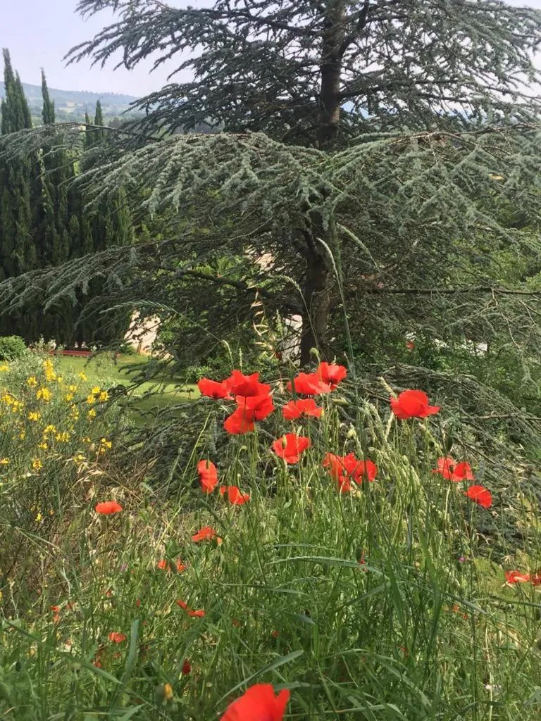 Property building in Casale Sant'Elia