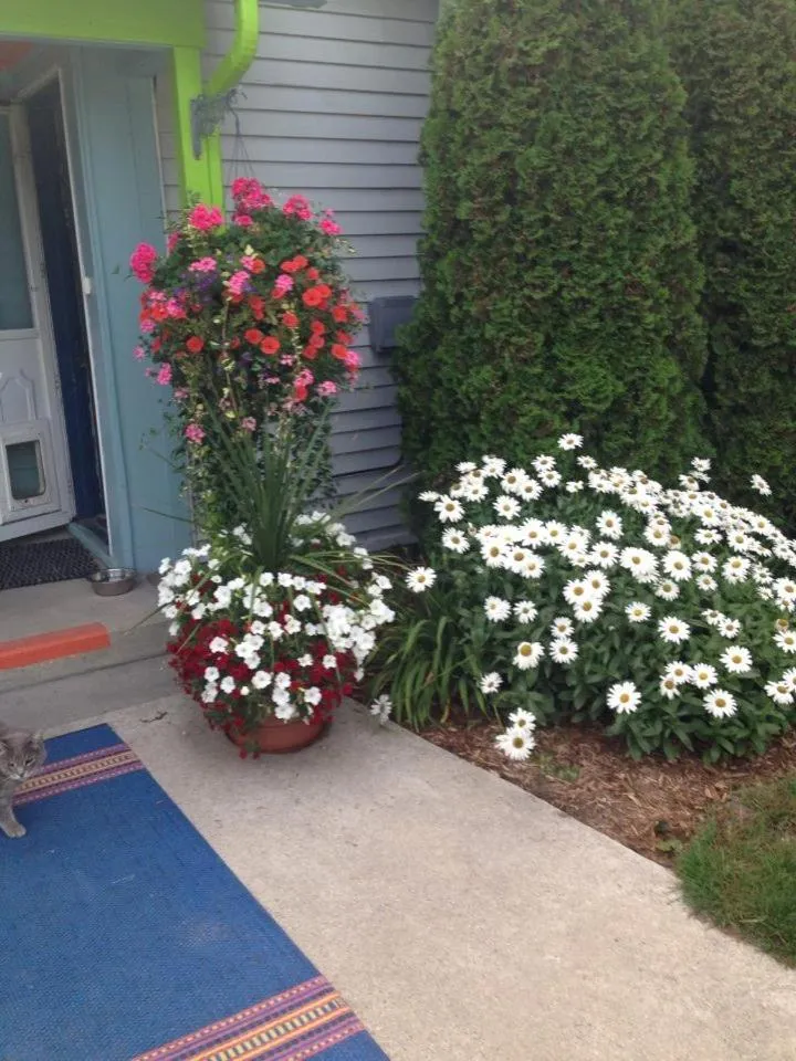 Property building in Bay Port Lodging