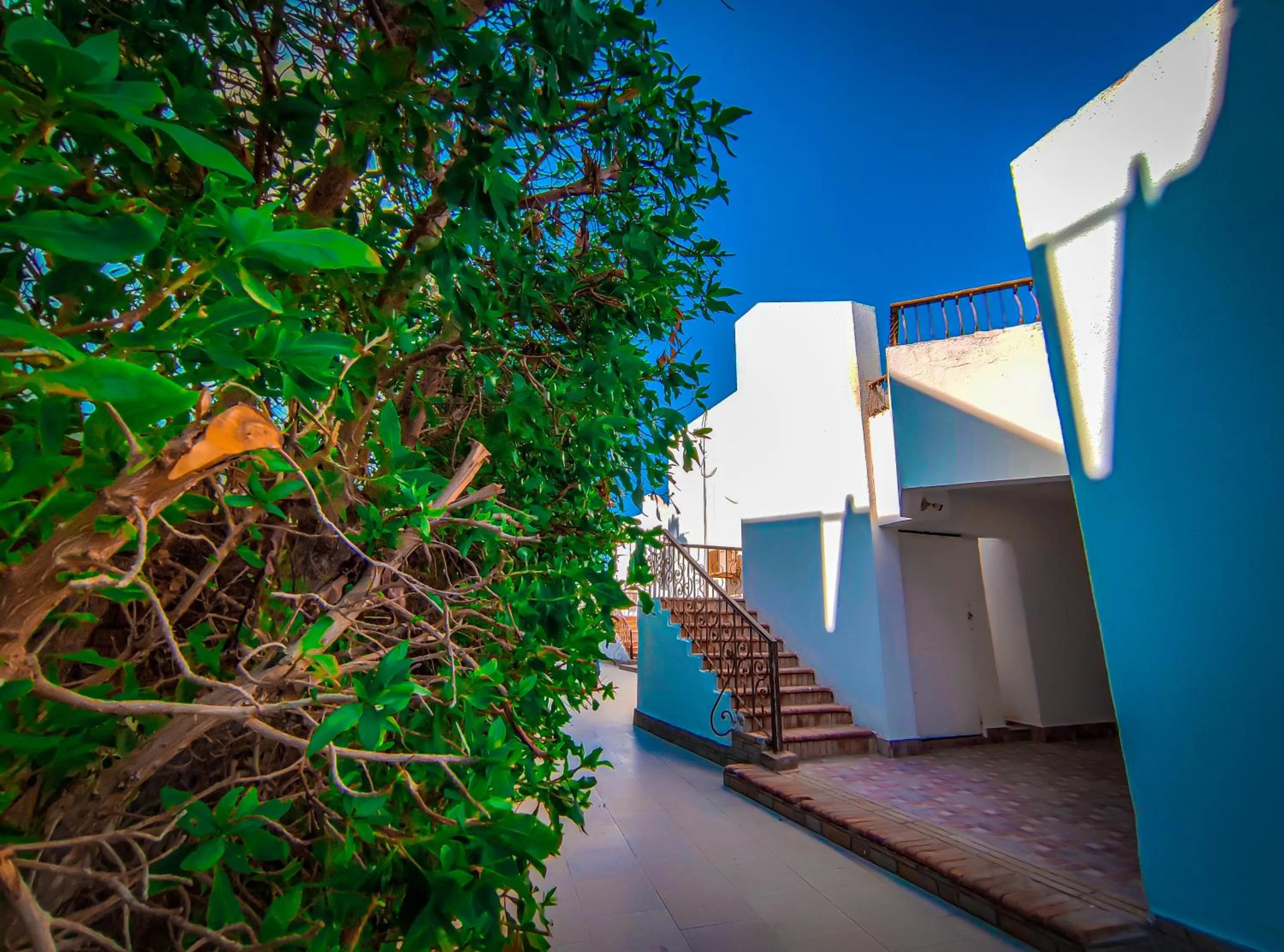 Dyarna Dahab Hotel