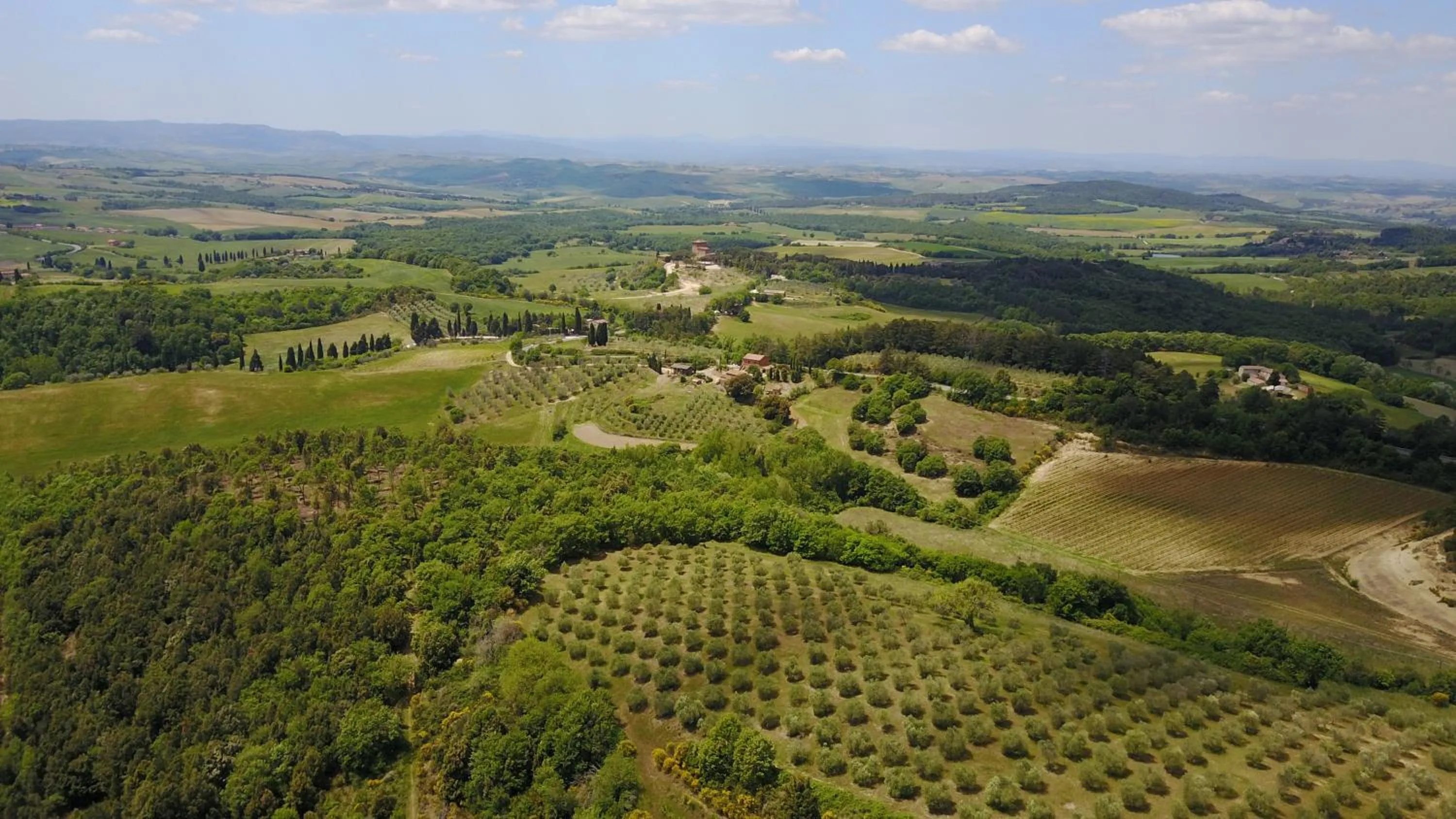 Bird's eye view in Tenuta Santo Pietro