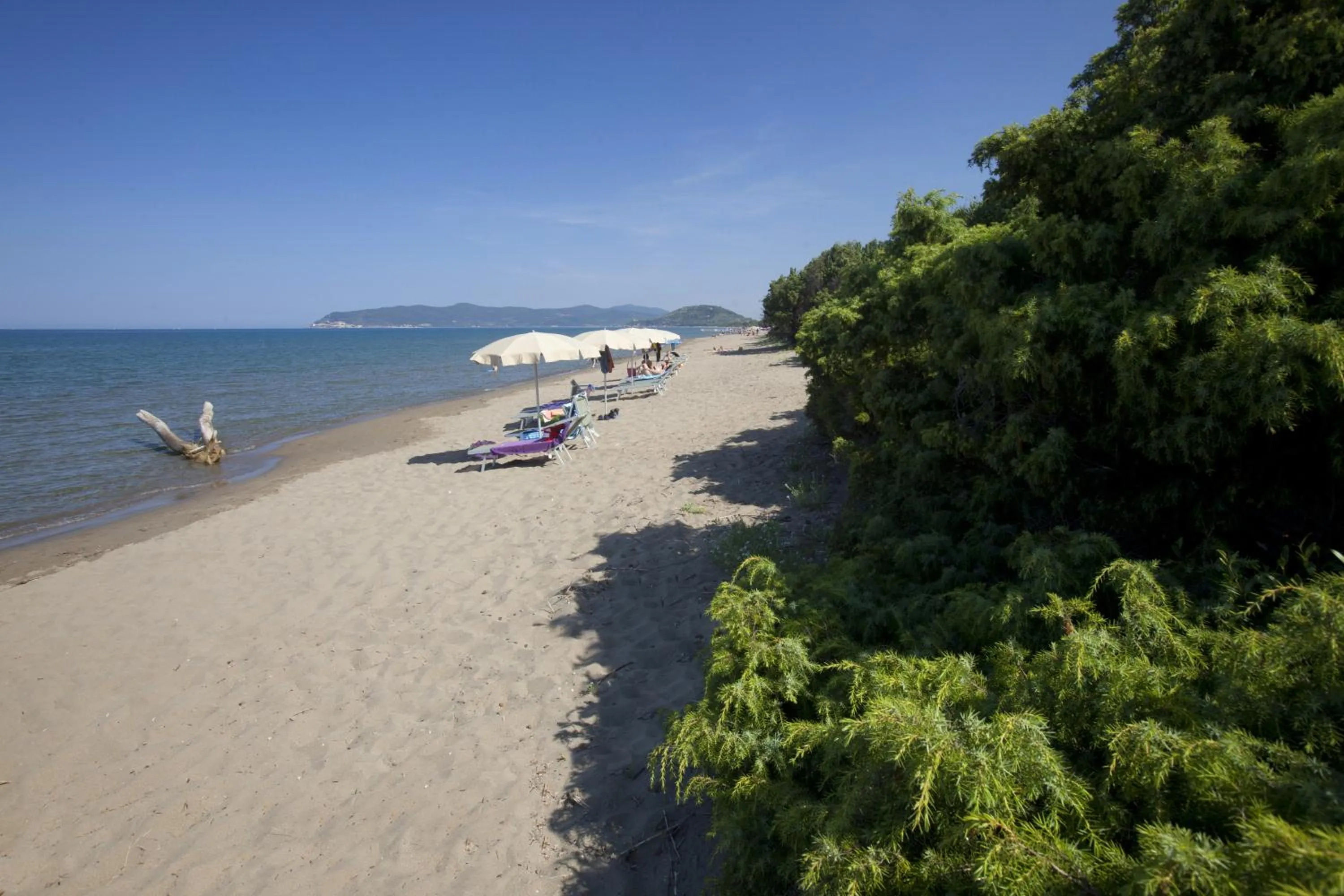 Beach in Residence Pineta