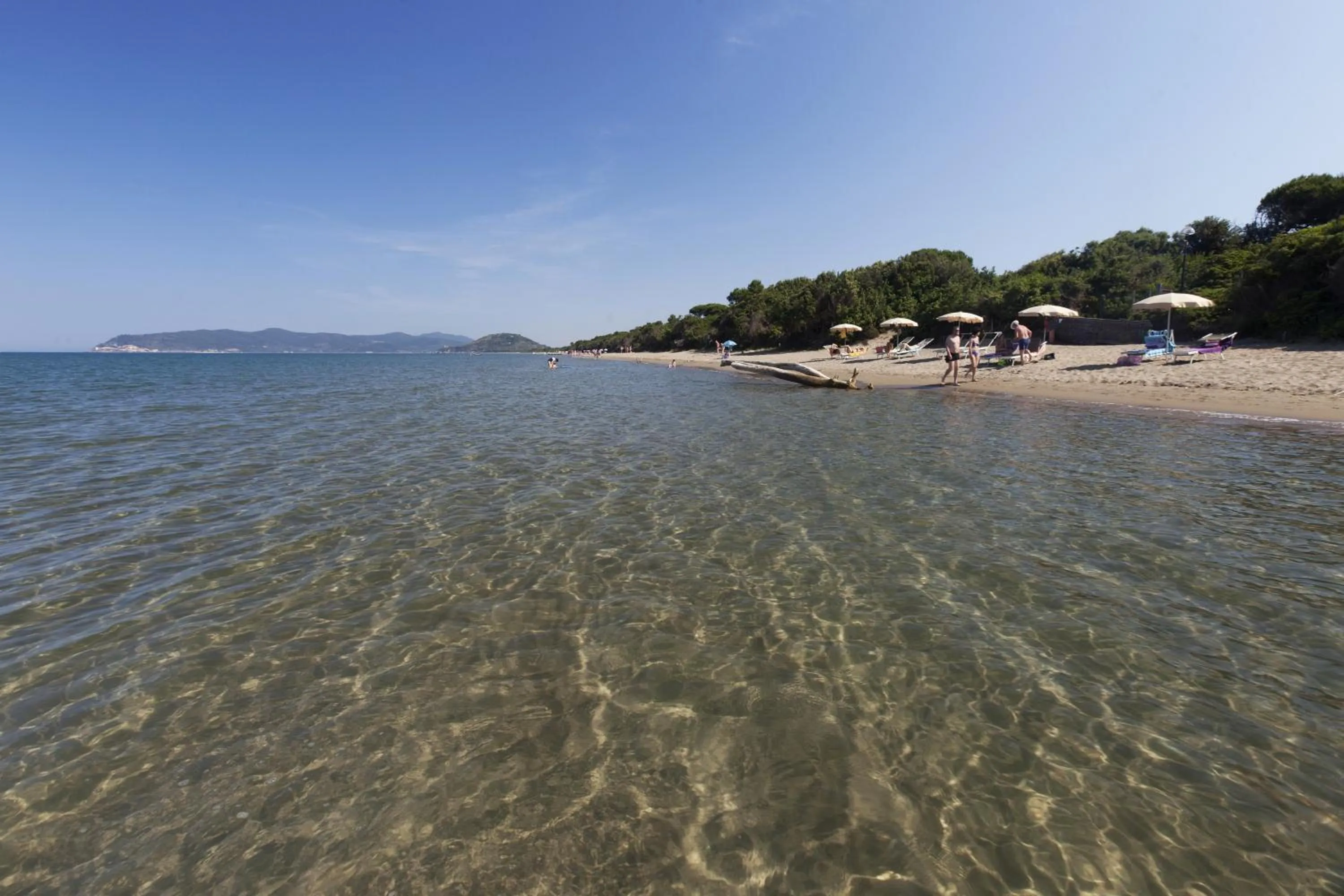 Beach in Residence Pineta