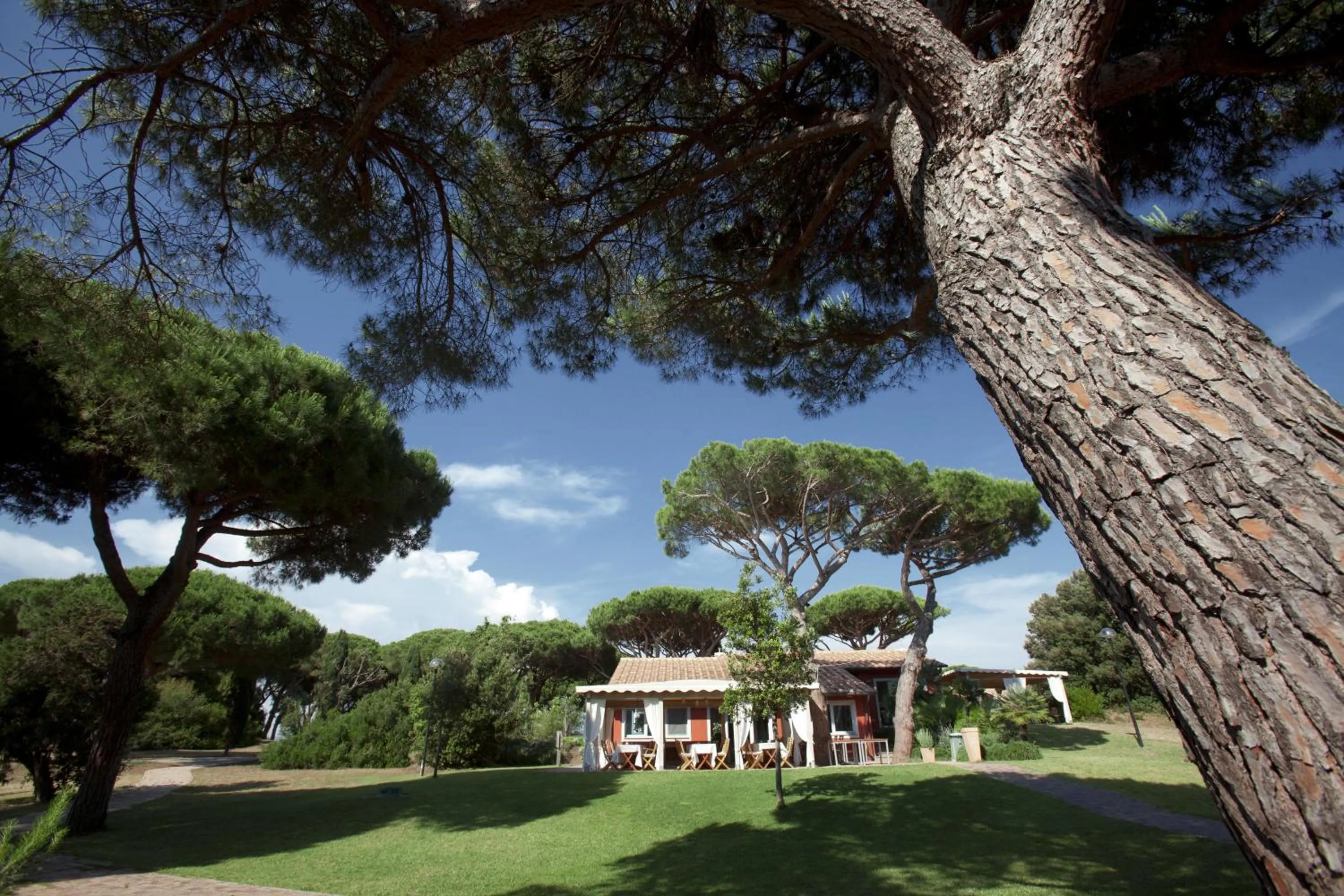 Facade/entrance in Residence Pineta