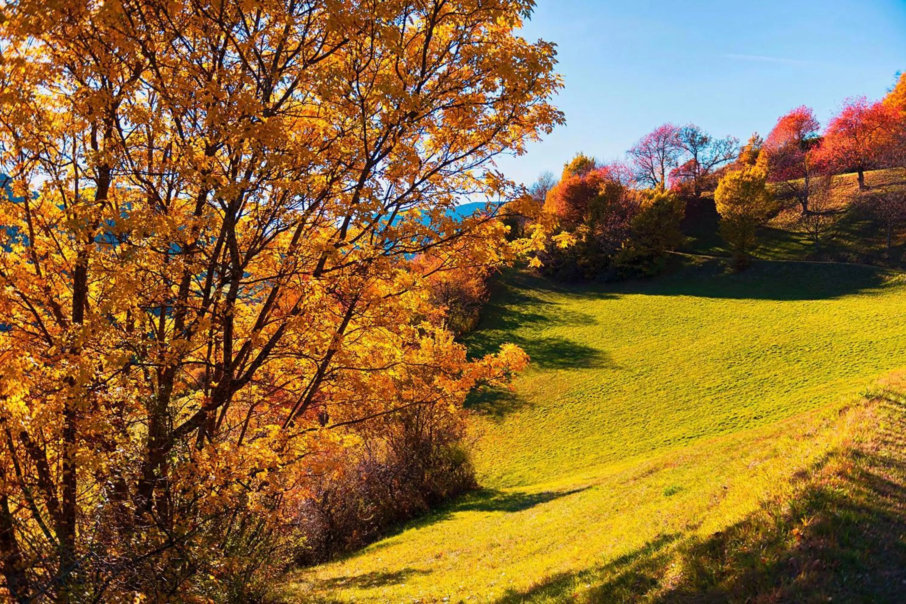 On site in Garni Hotel Geier