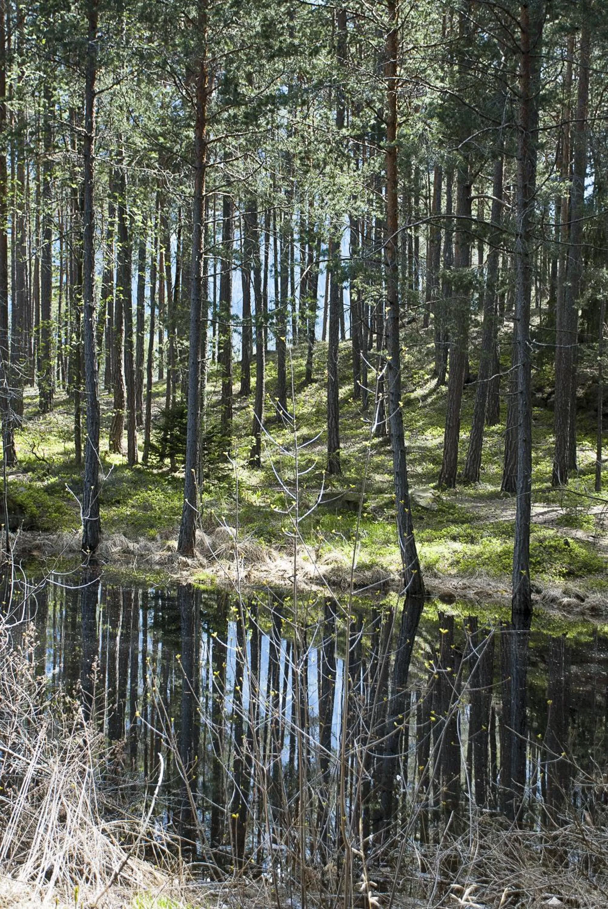 On site in Garni Hotel Geier