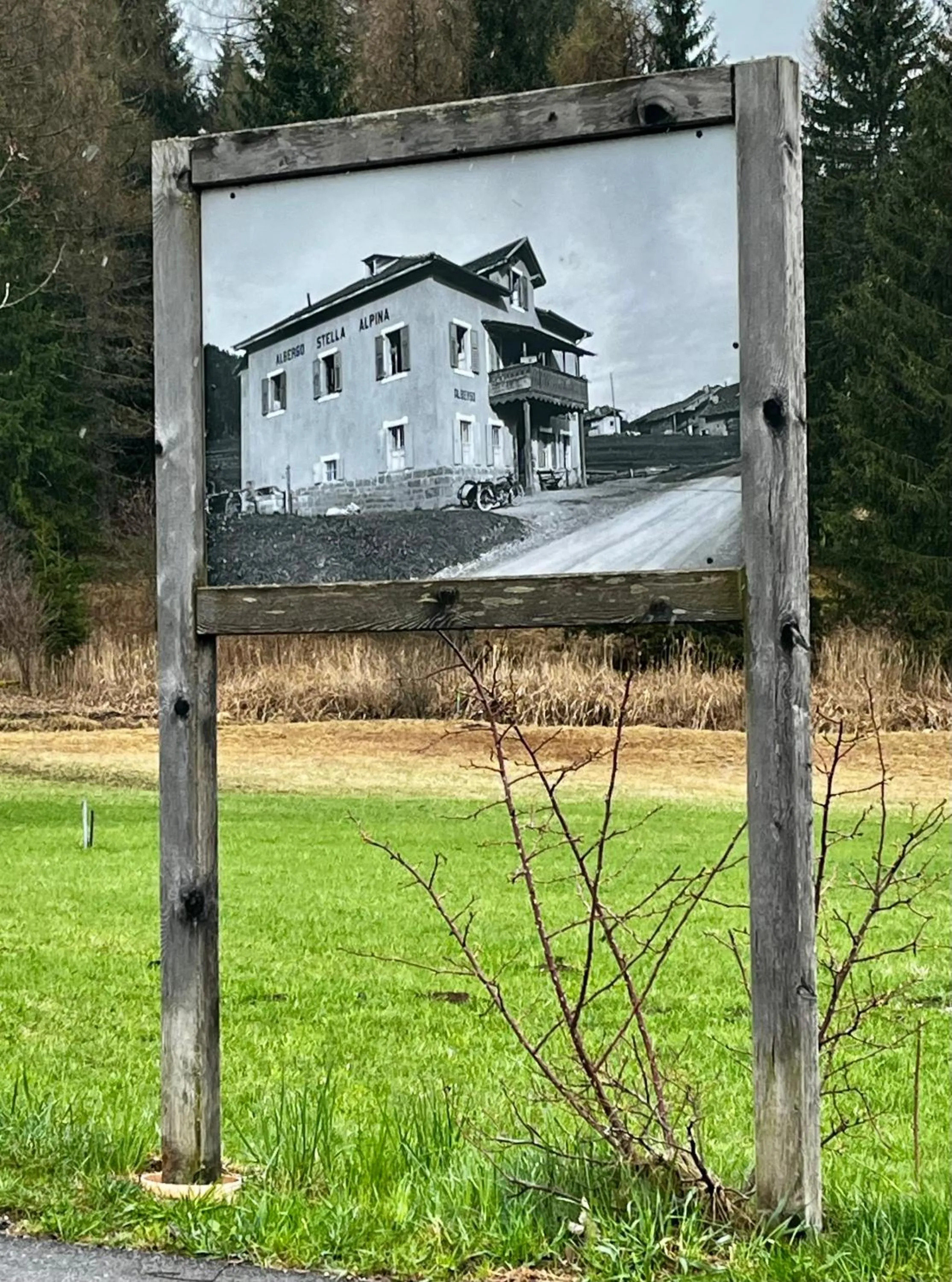 Other in Hotel Stella Alpina