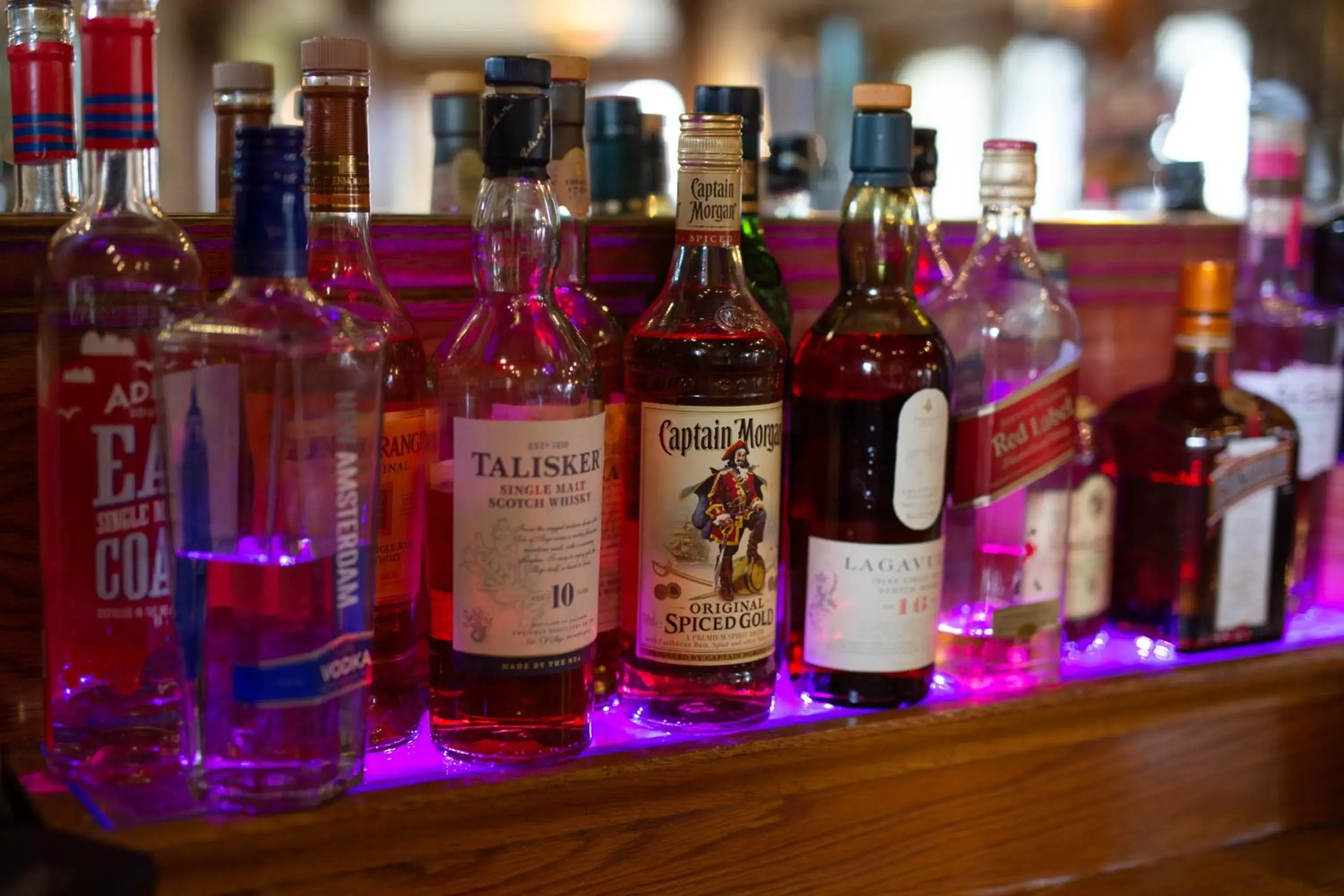 Lounge or bar in Sea Marge Hotel Lounge or bar in Sea Marge Hotel