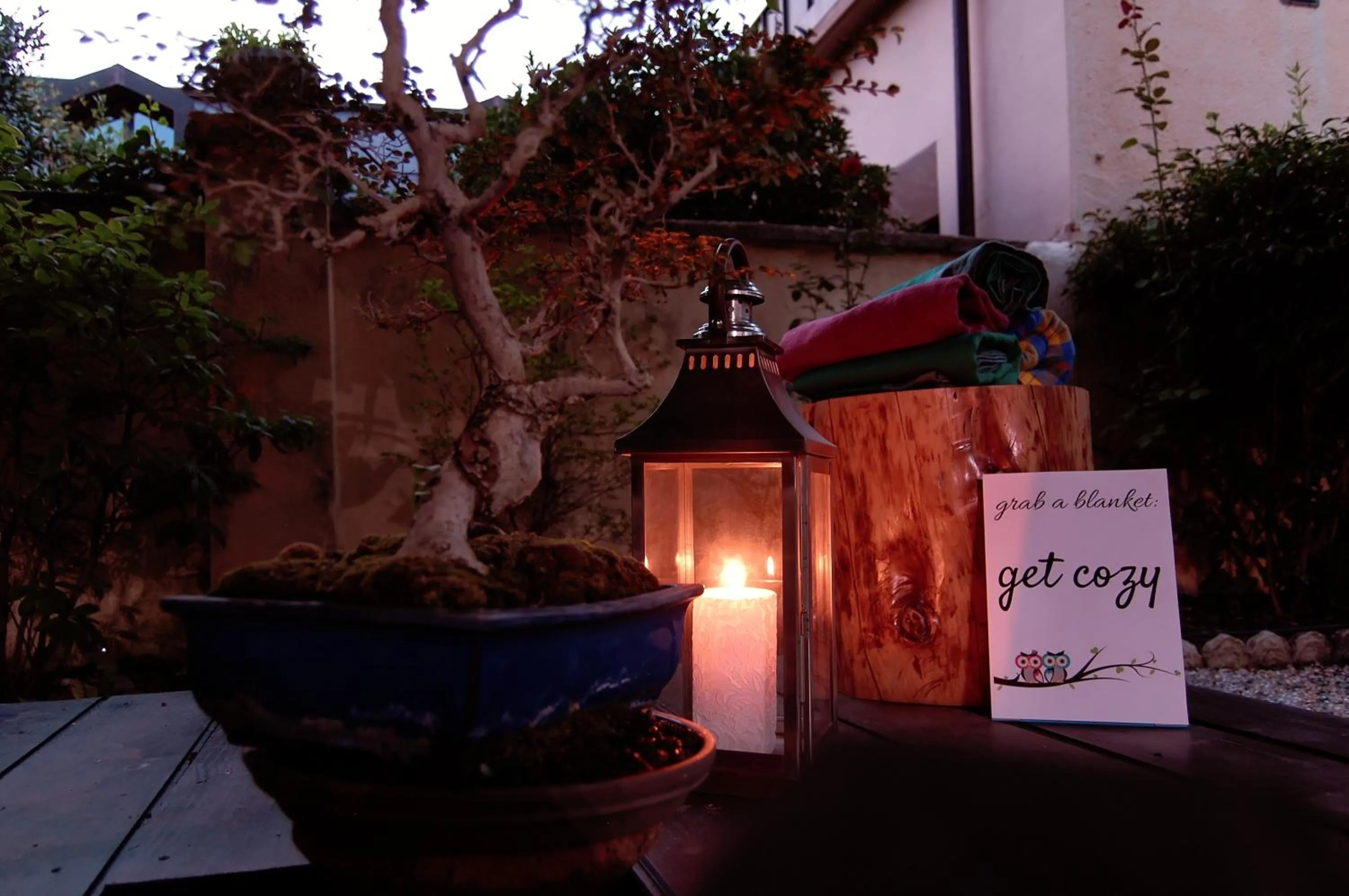 Garden in Colazione da Augusta - Guesthouse