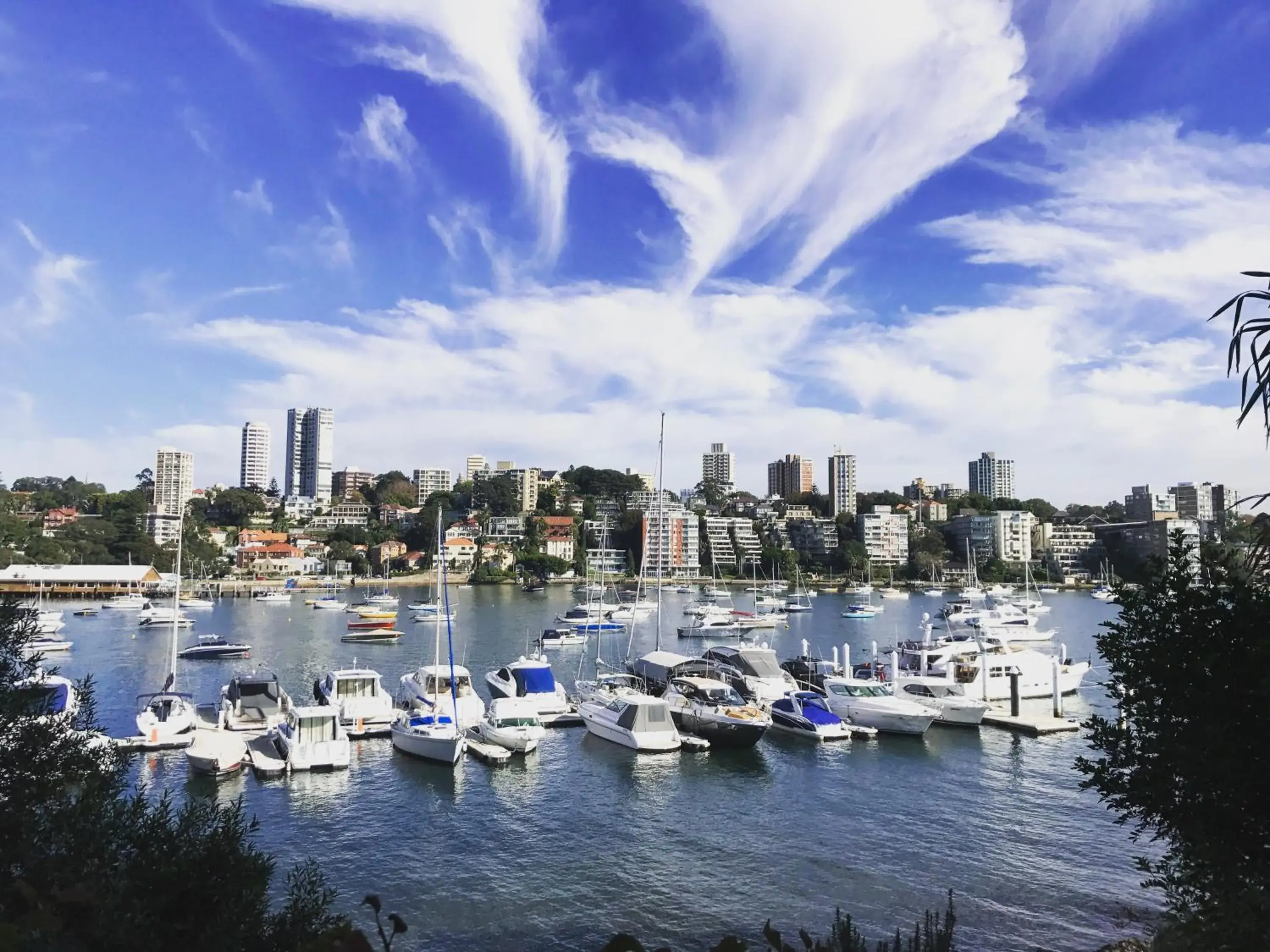 Double Bay Harbour-front apartment with stunning views Double Bay Harbour-front apartment with stunning views