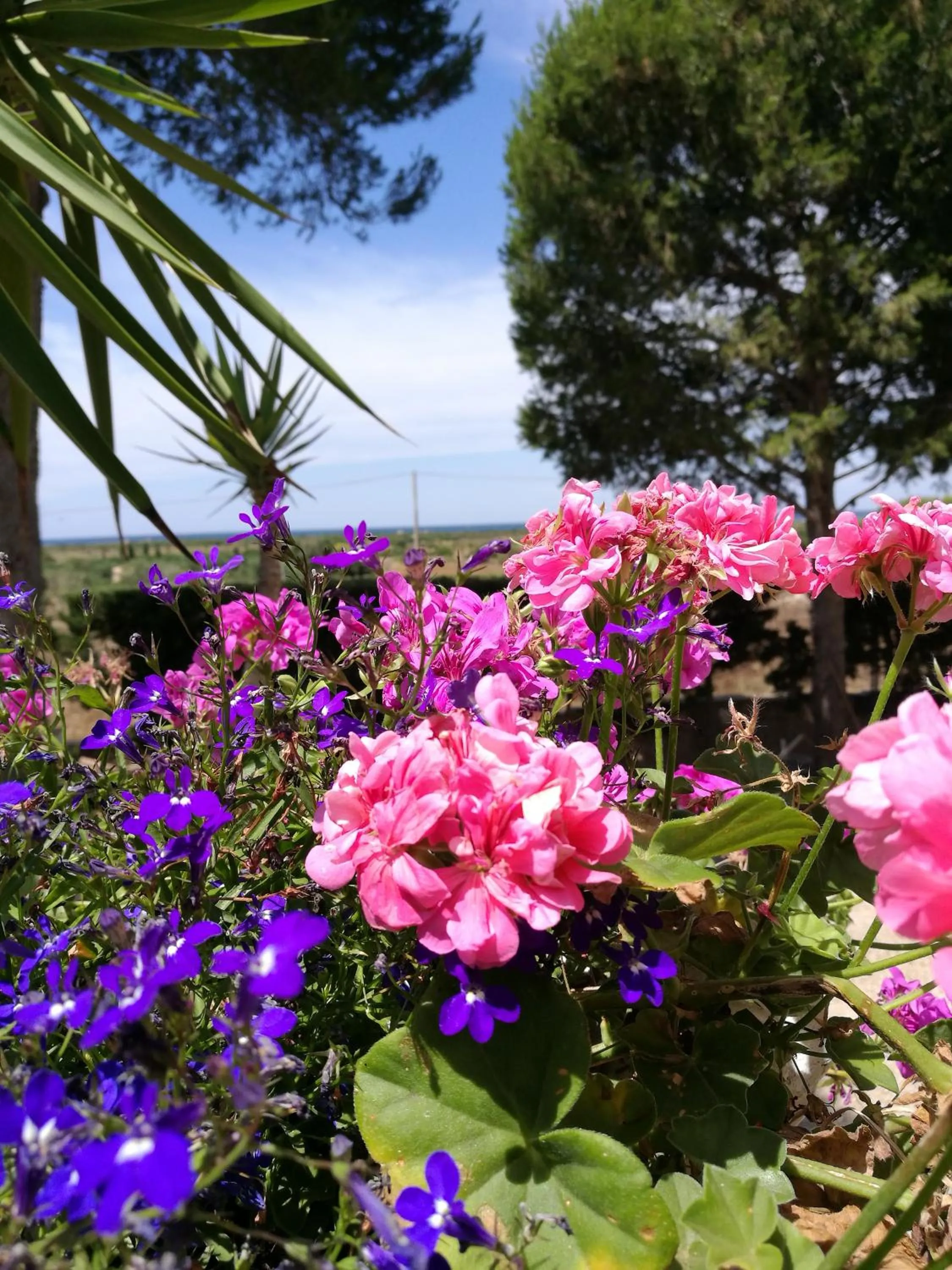 Garden in Beach House Salento