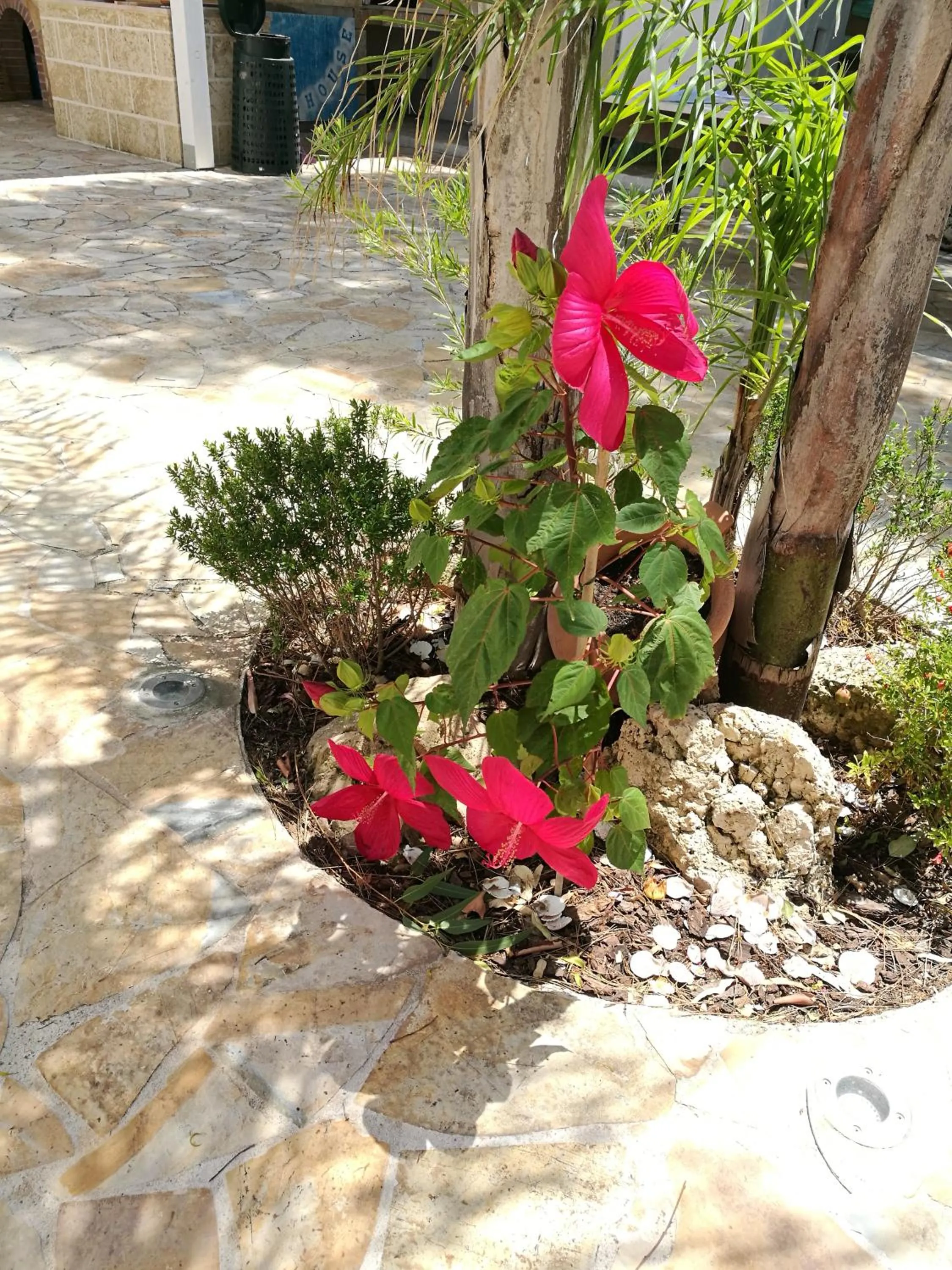 Garden in Beach House Salento