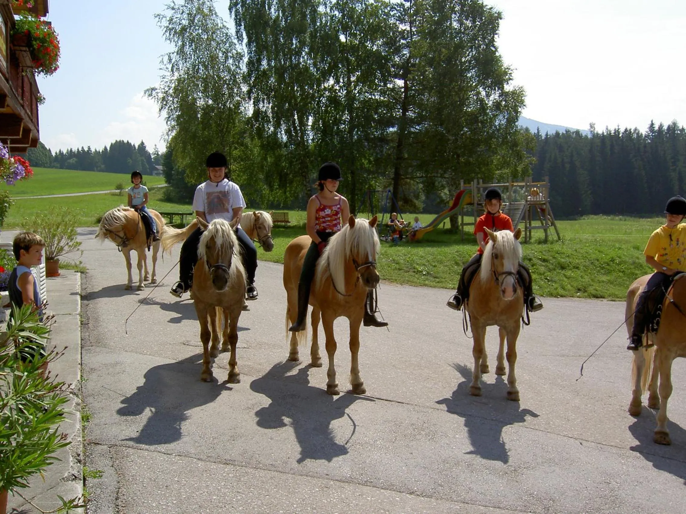 Horse-riding in Hotel Stockerwirt
