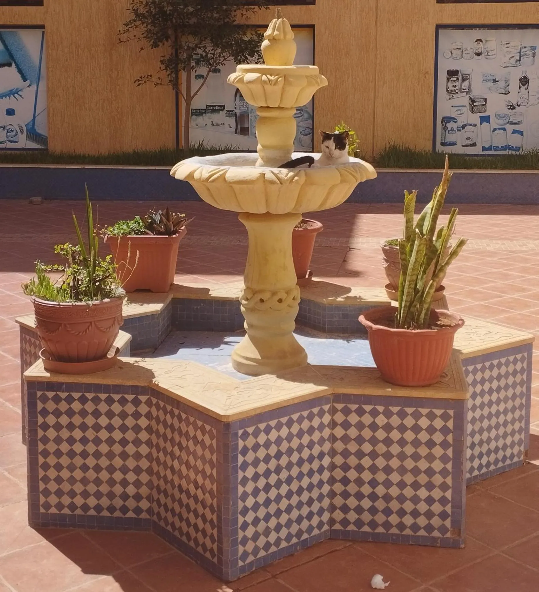 Hotel Safa