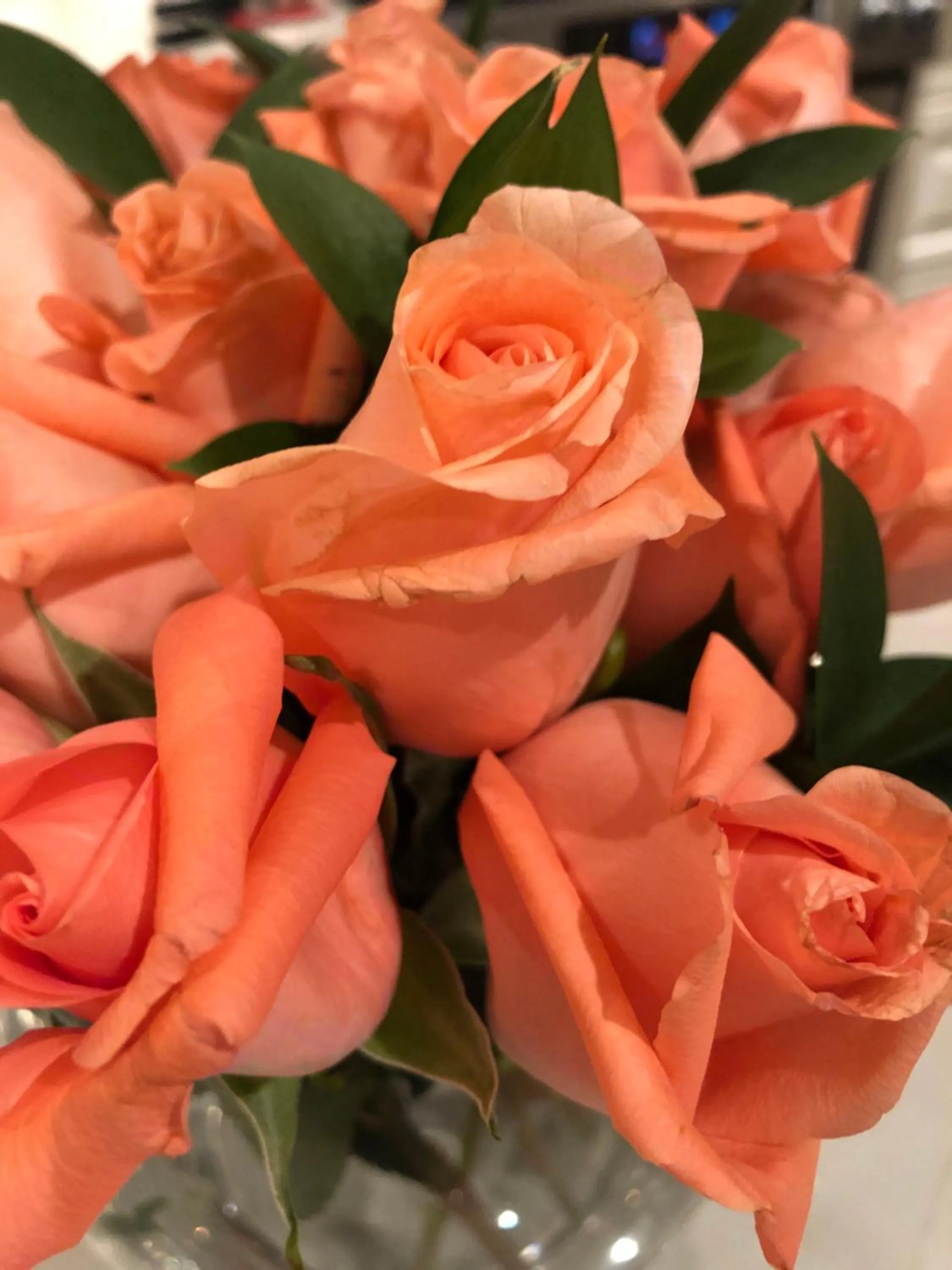 Natural landscape in 1000 Islands Bed and Breakfast-The Bulloch House