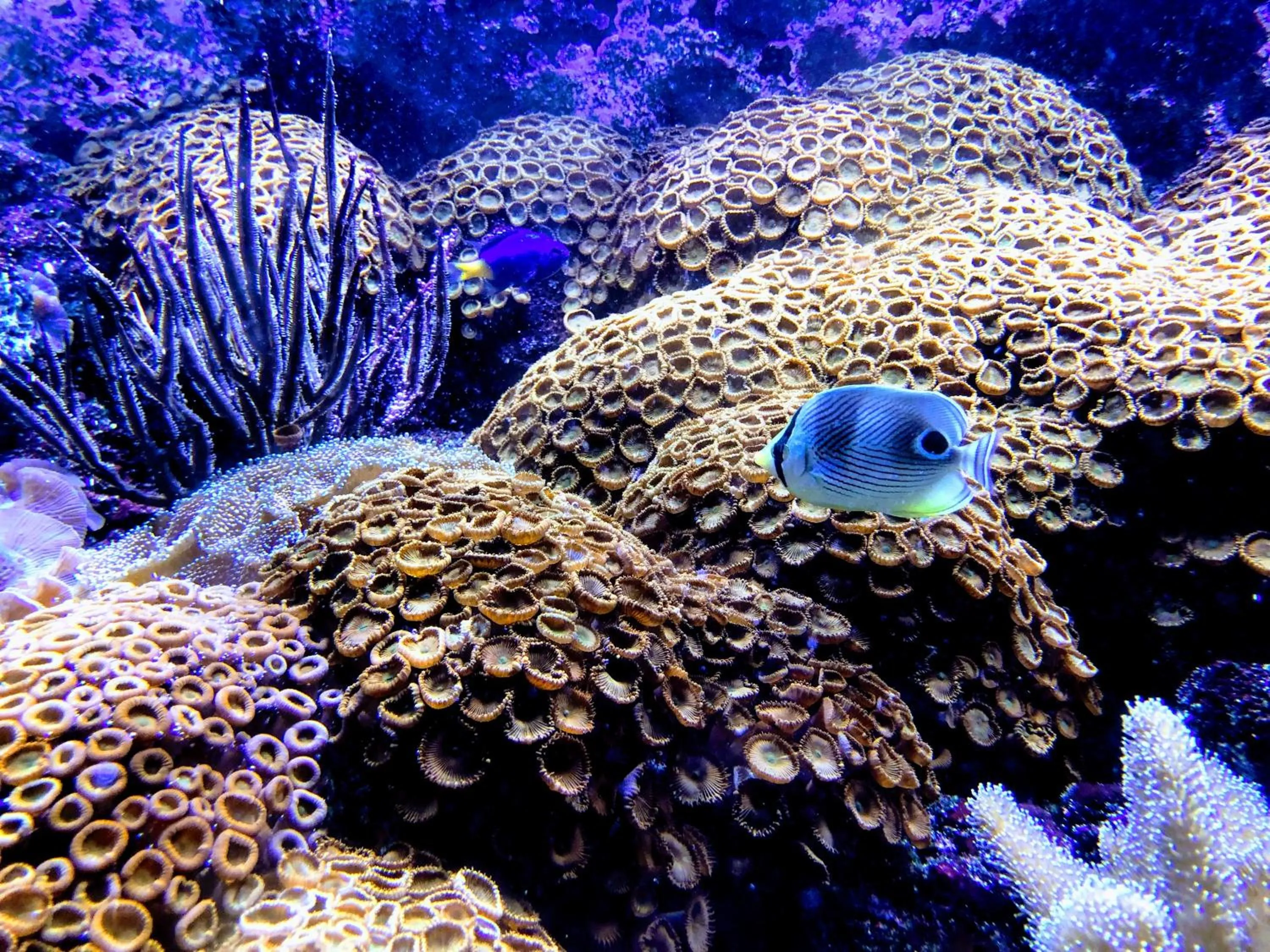 Casa Hotel Manco Mora