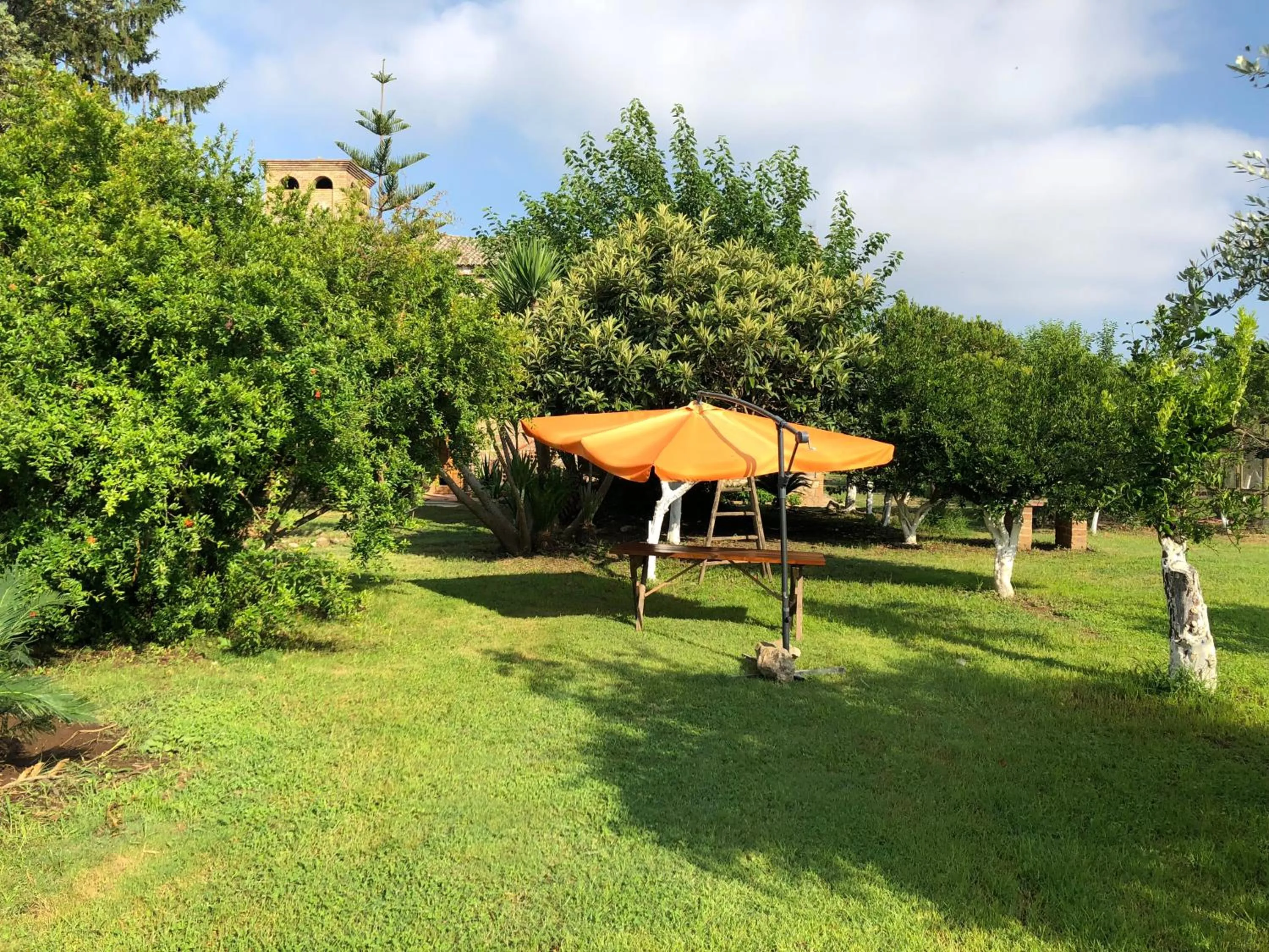 Garden in Decri resort