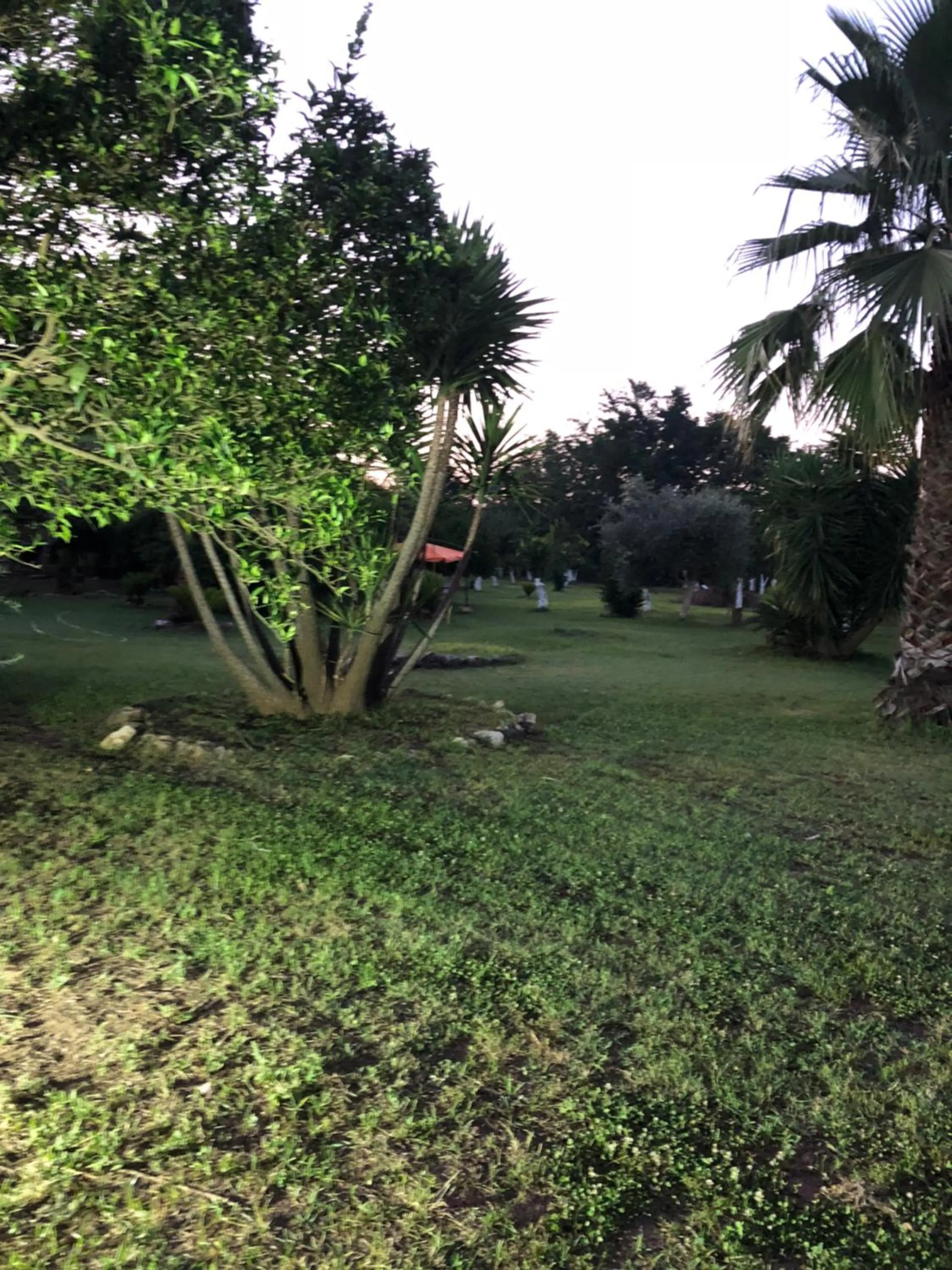 Summer in Decri resort