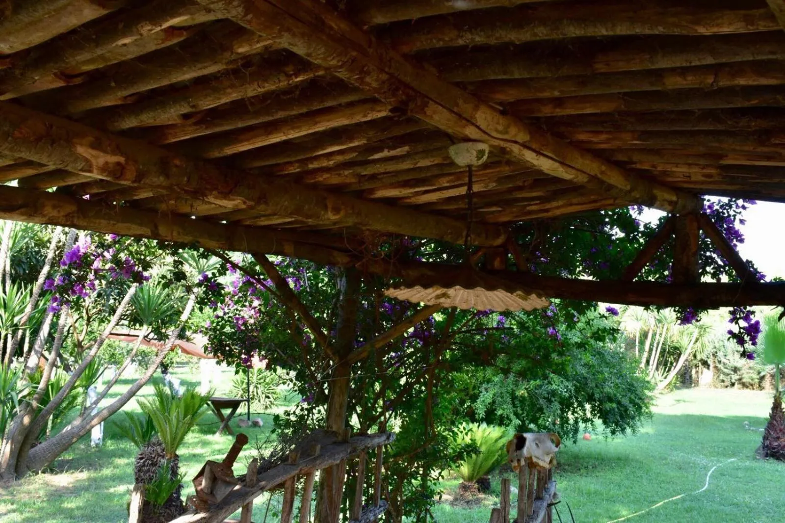 Garden view in Decri resort