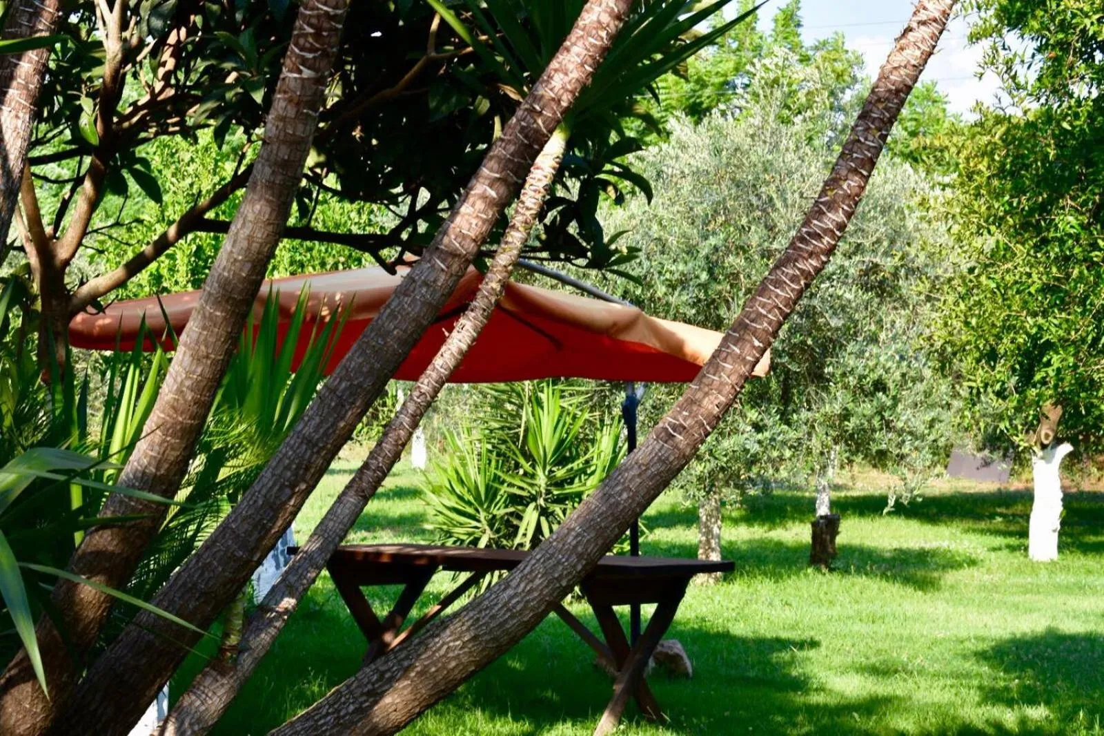 Garden in Decri resort