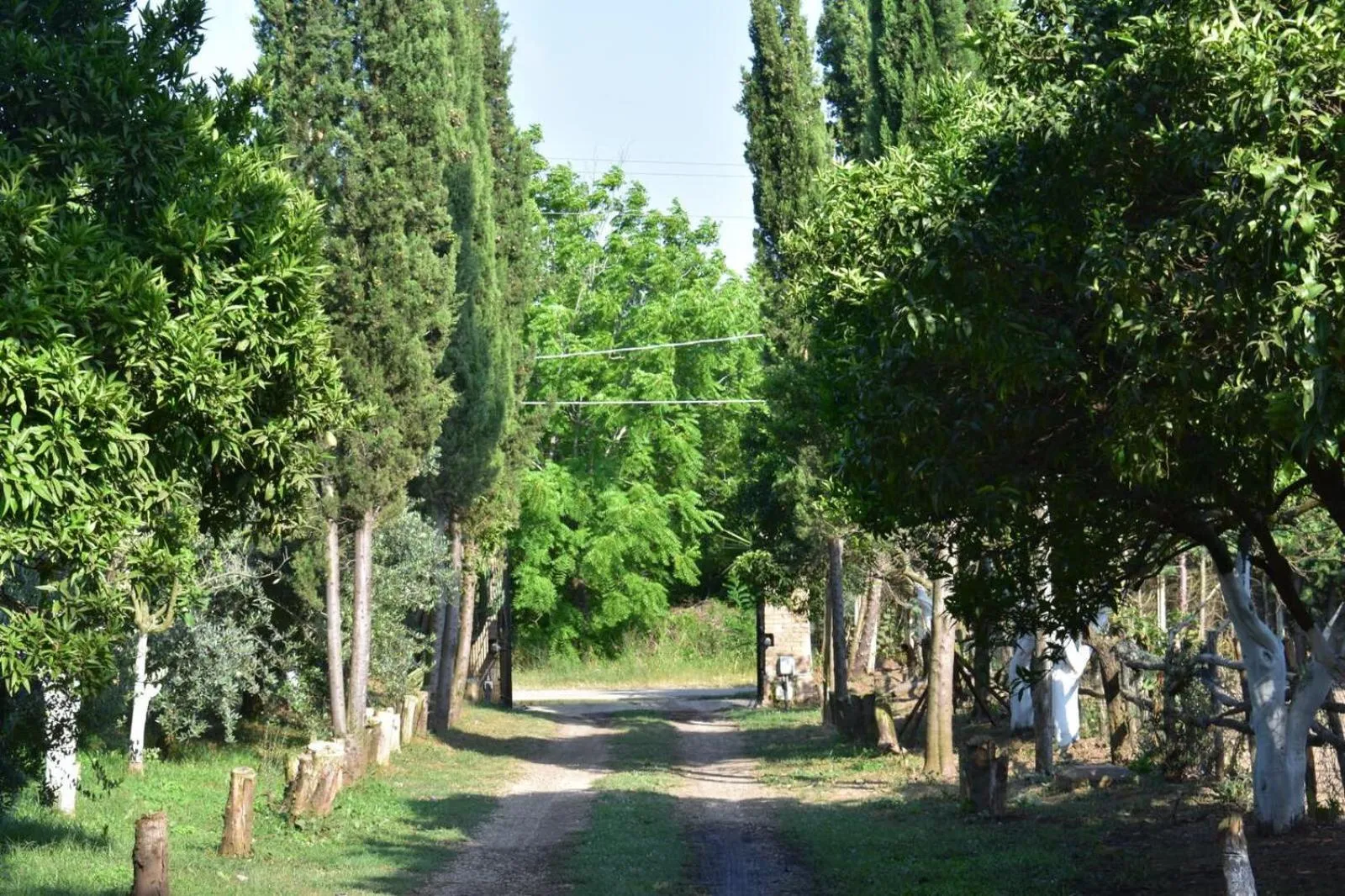 Facade/entrance in Decri resort