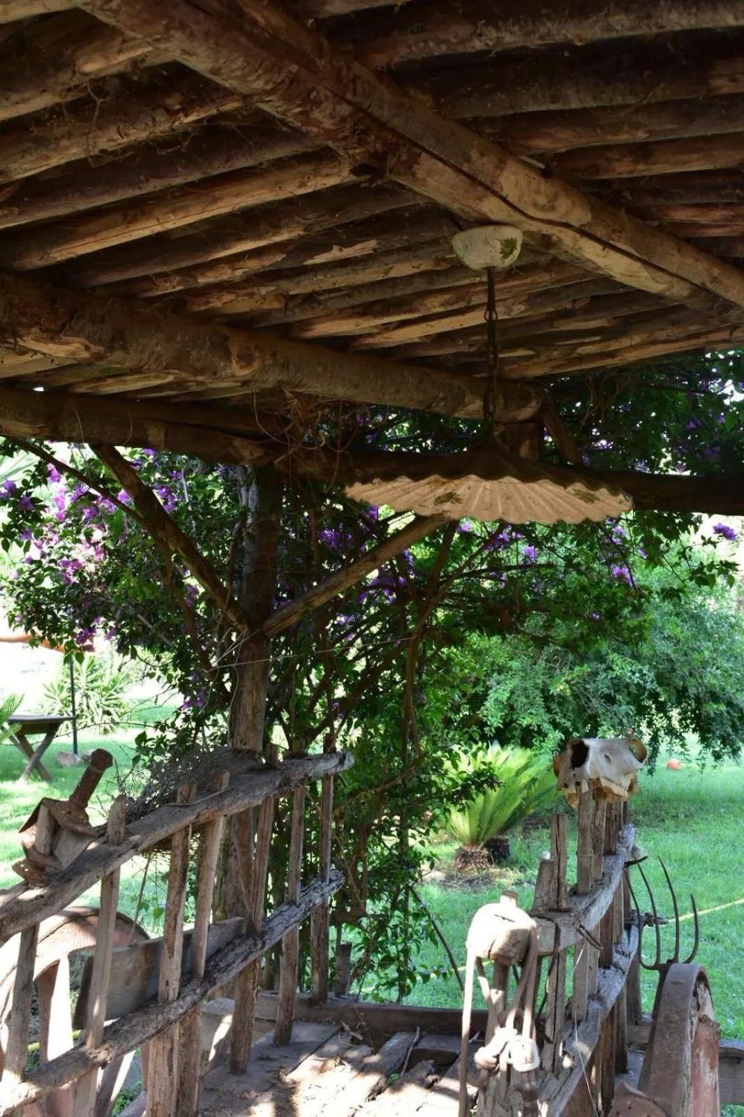 Garden in Decri resort