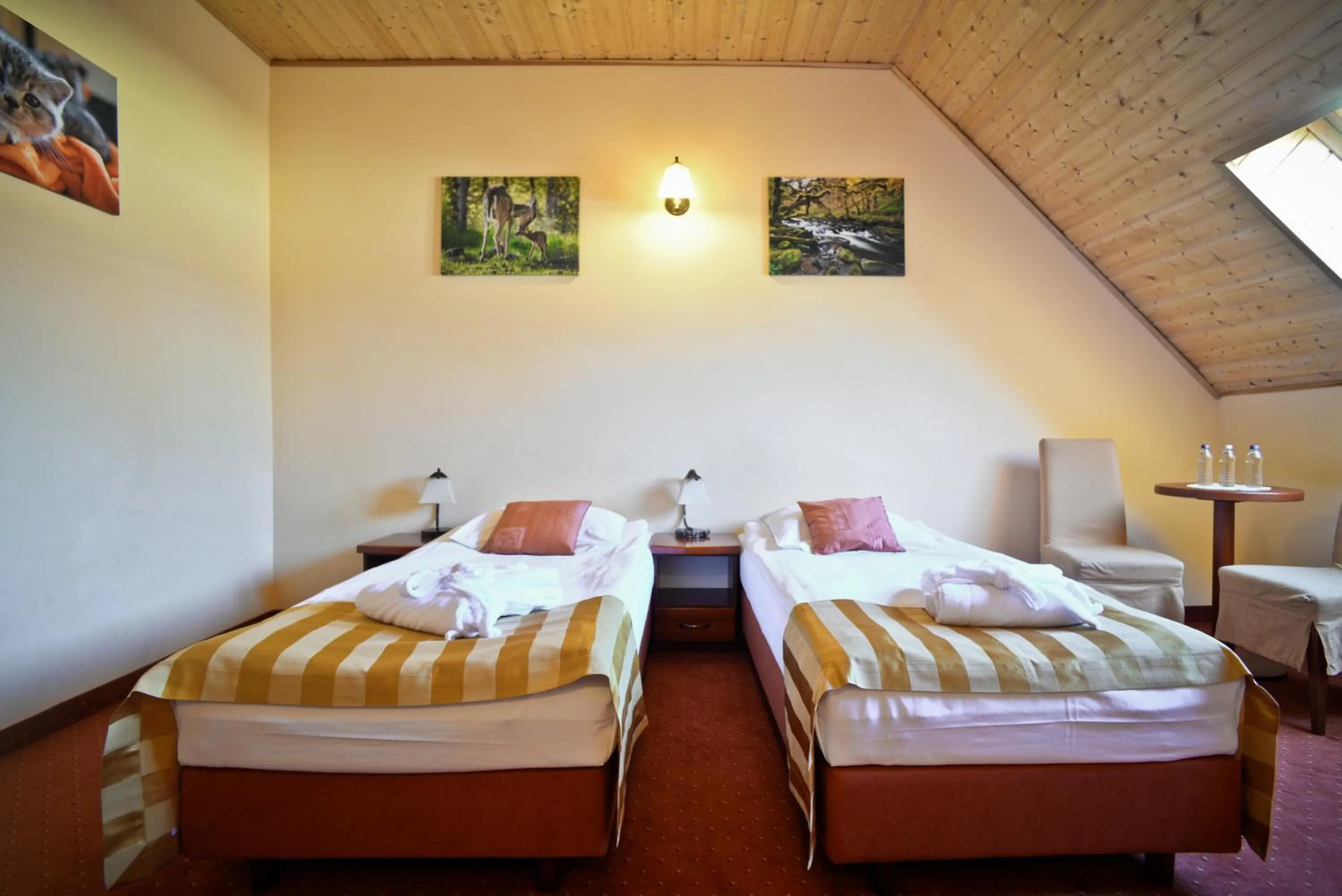 Photo of the whole room, Bed in Hotel Venus